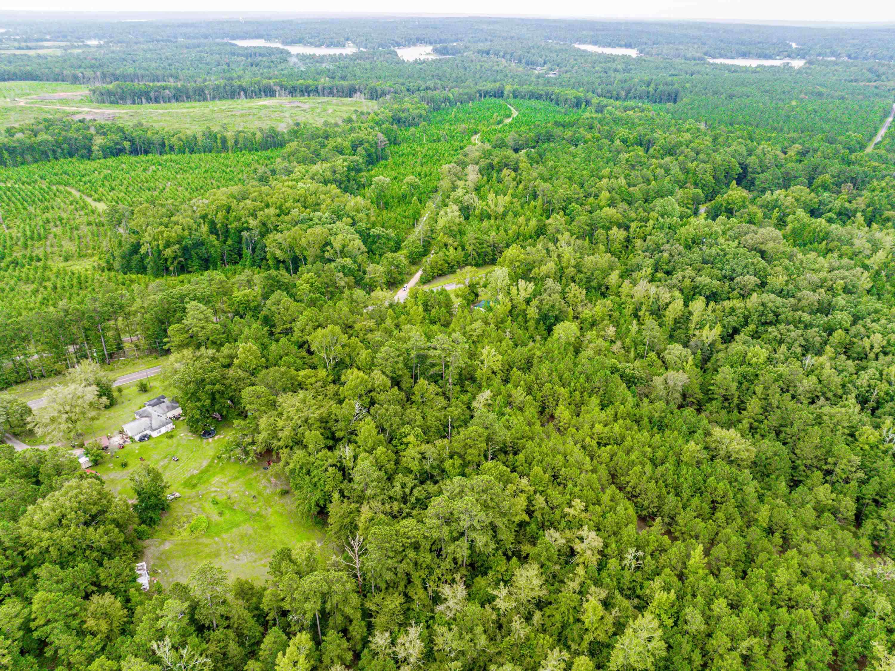 790 DENNIS STATION ROAD