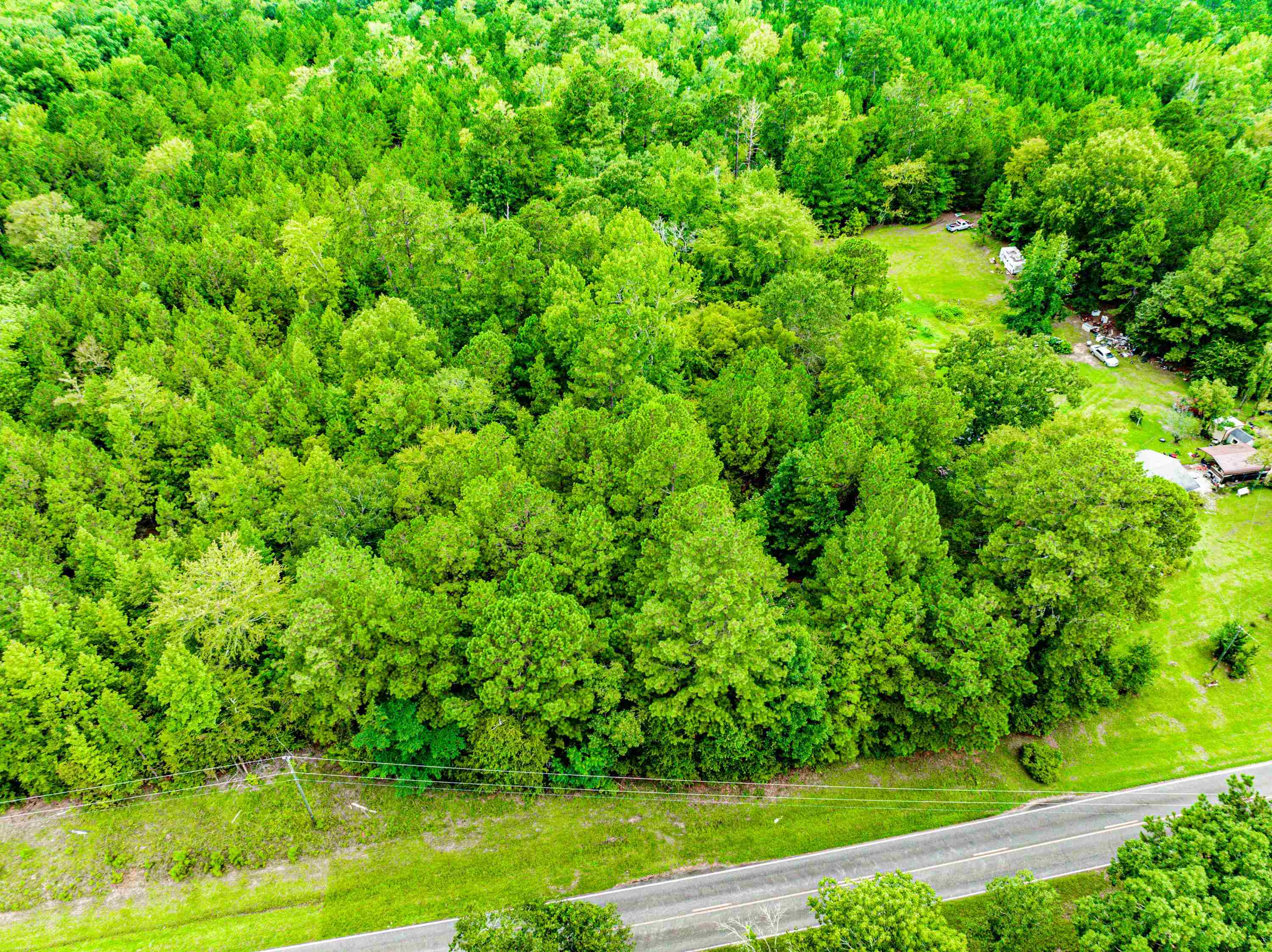 790 DENNIS STATION ROAD