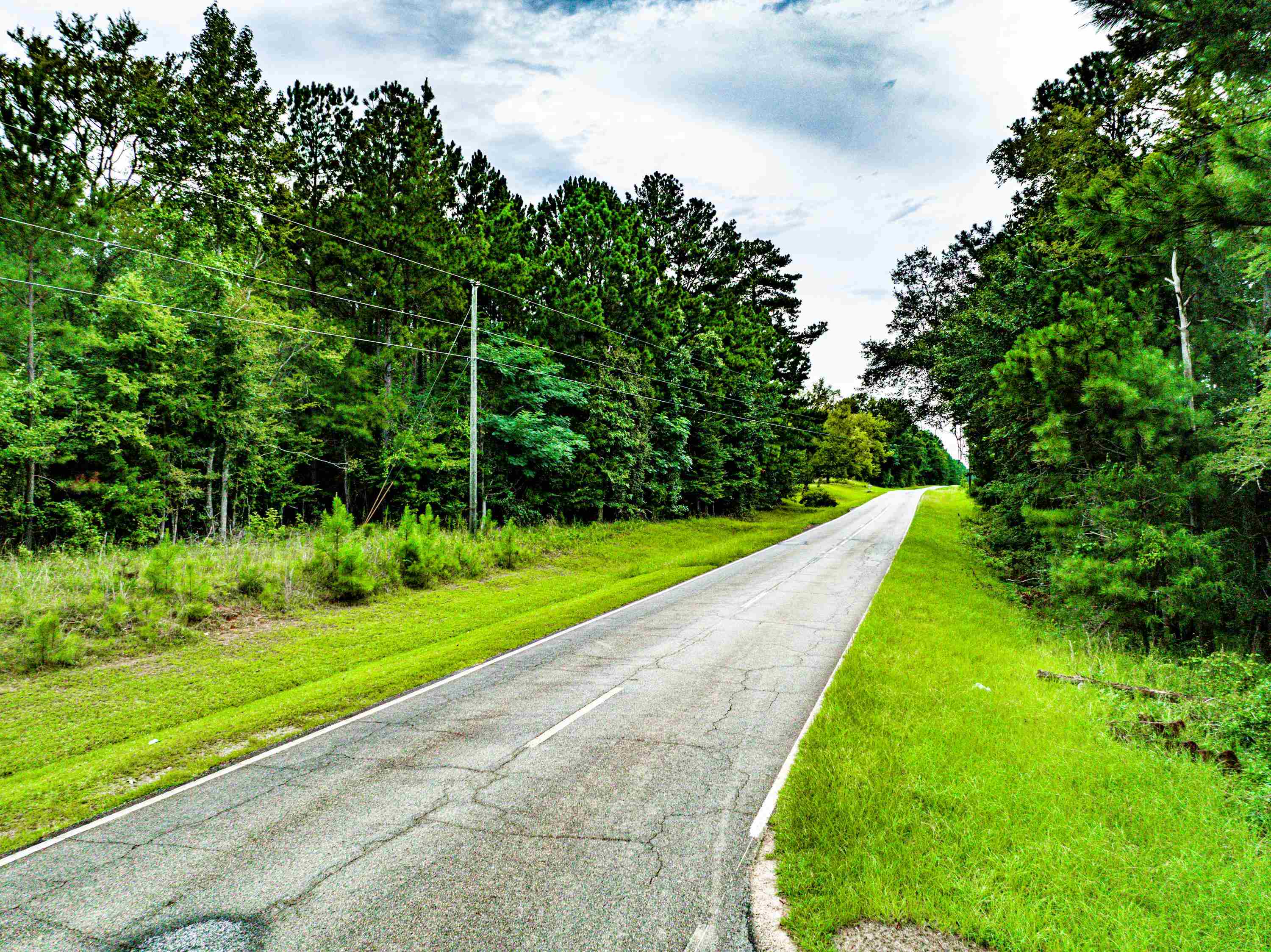 790 DENNIS STATION ROAD