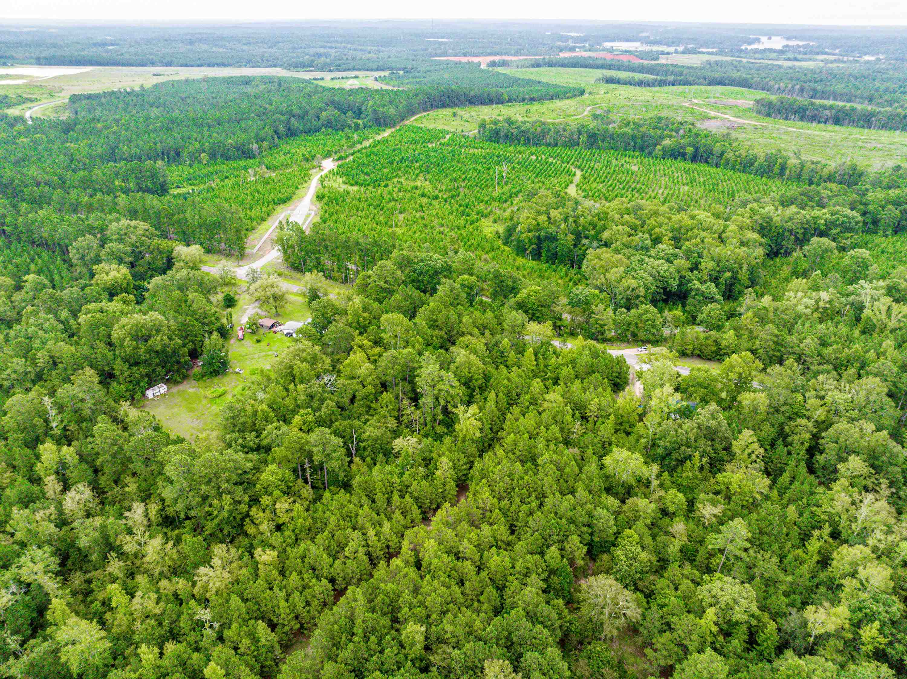 790 DENNIS STATION ROAD