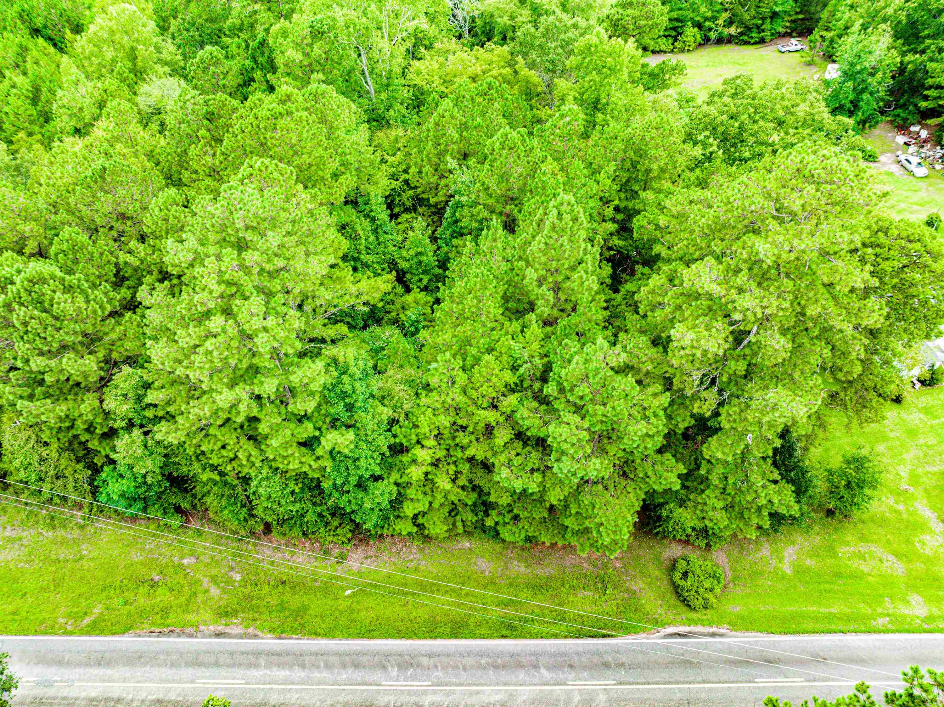 790 DENNIS STATION ROAD