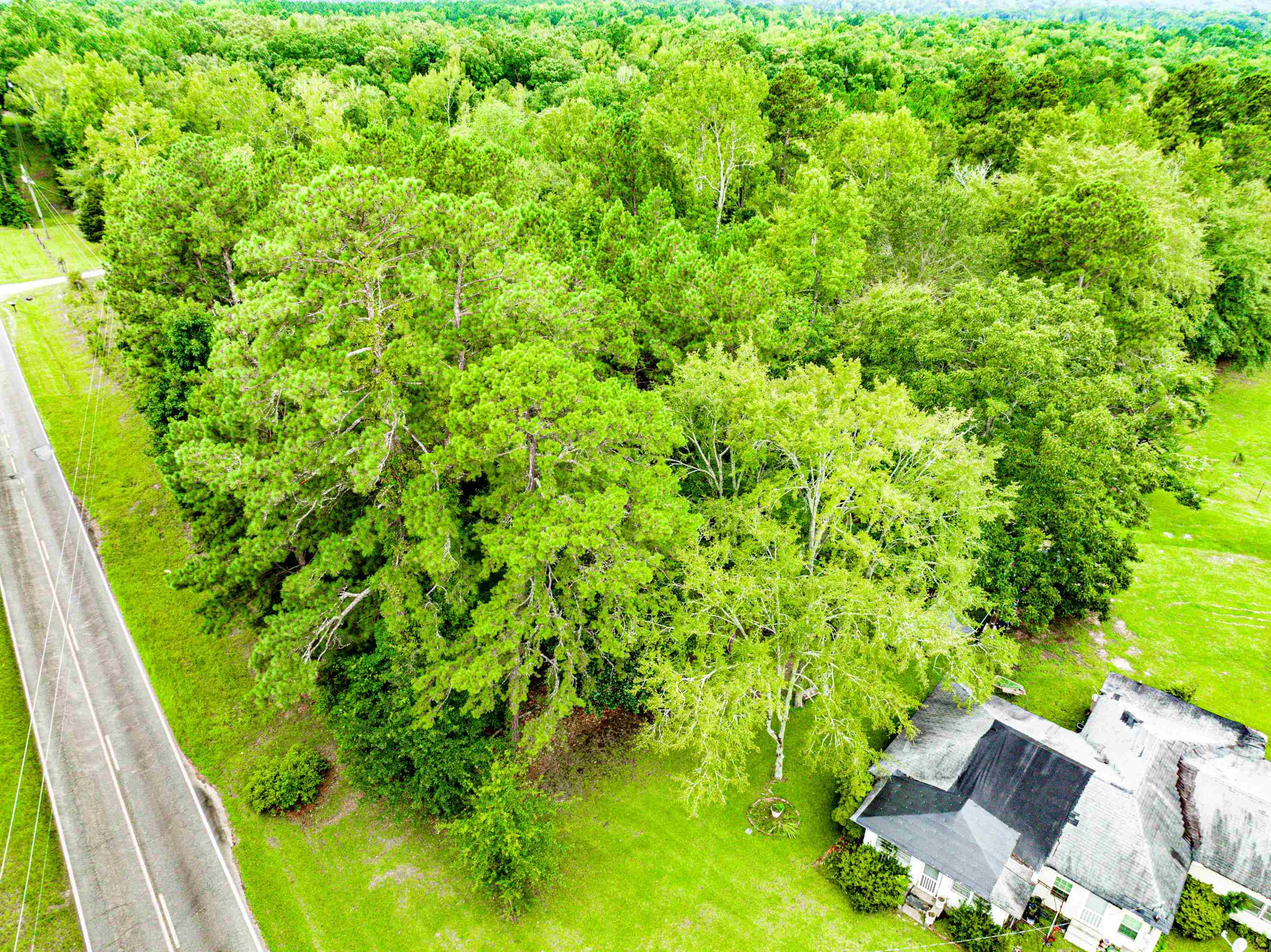 790 DENNIS STATION ROAD