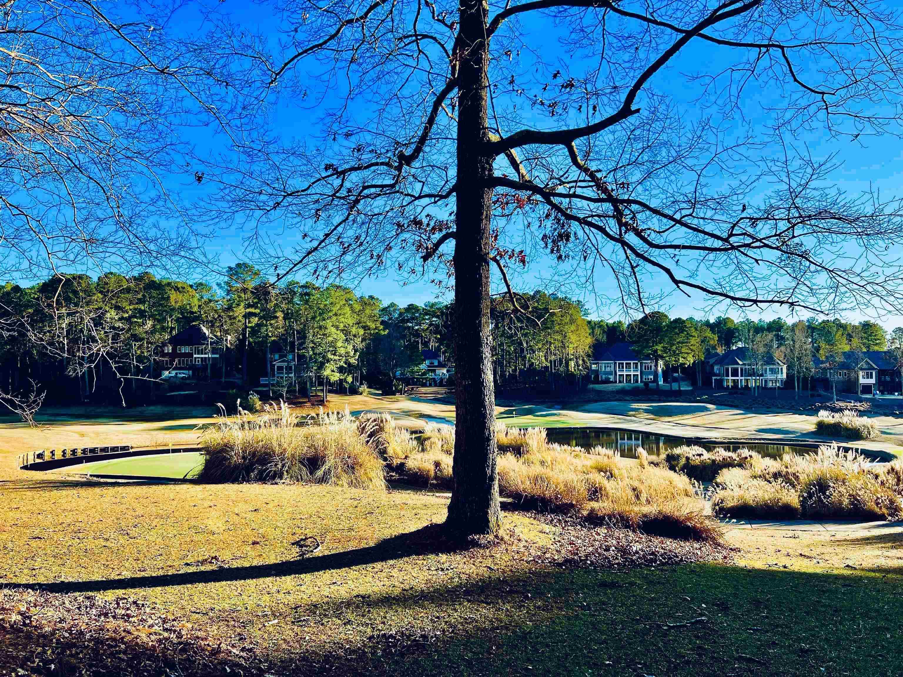 1010 EMERALD VIEW DRIVE