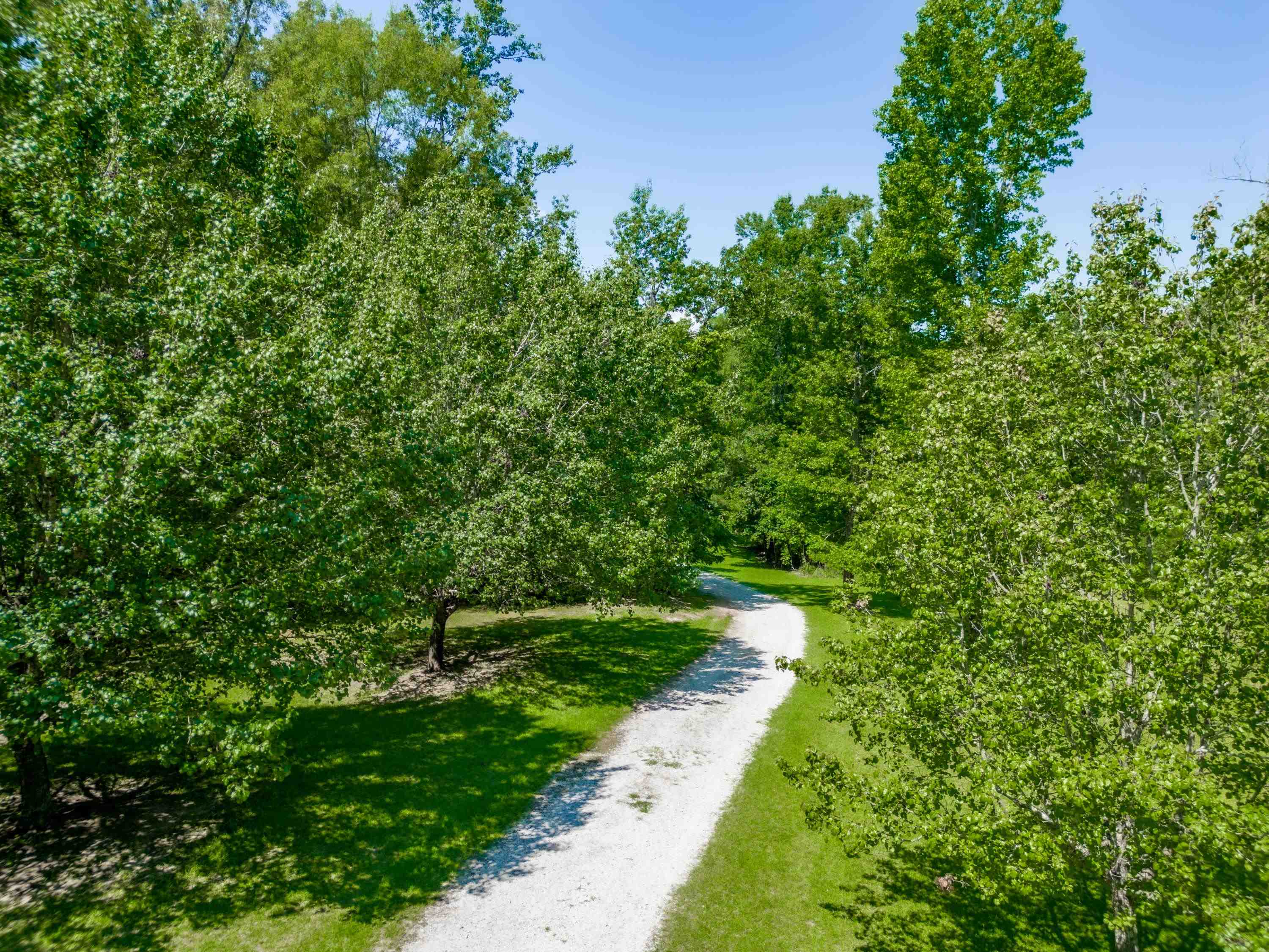 336 COLD BRANCH ROAD