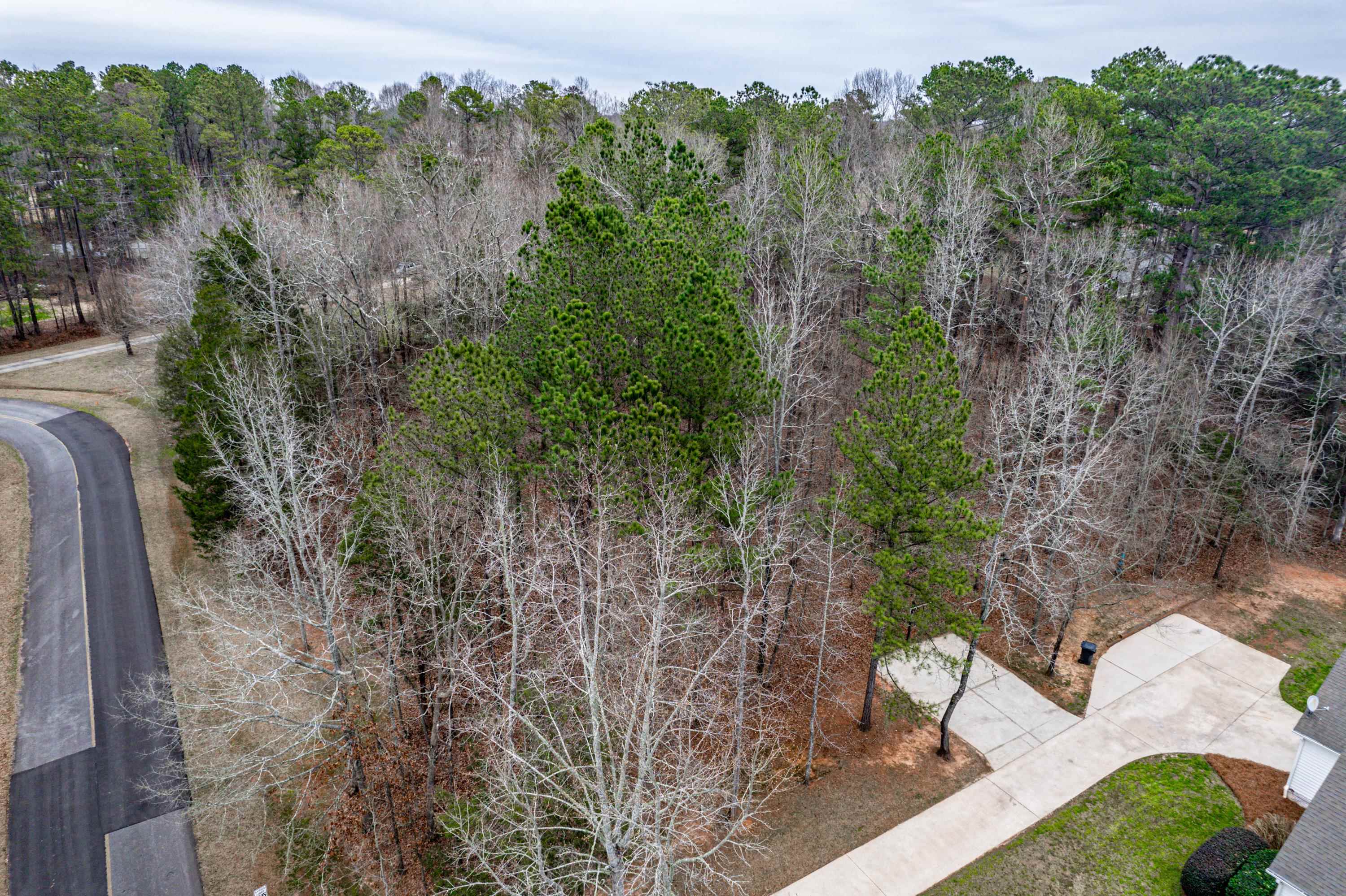 123 CHANDLER DRIVE, Eatonton