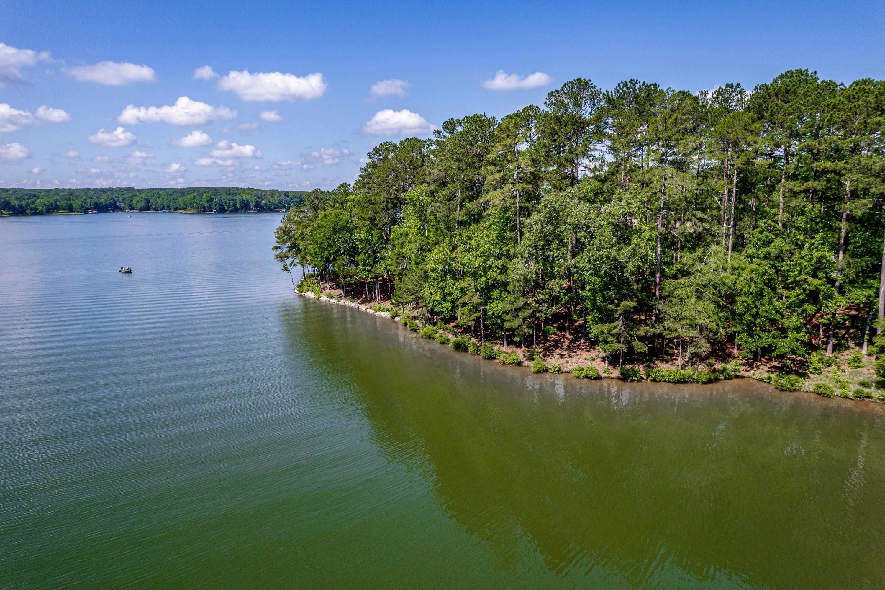 1103 PAINTED BUNTING DRIVE