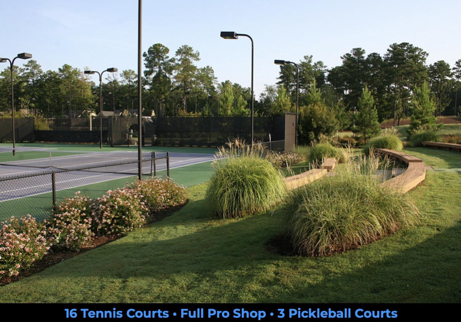 1103 PAINTED BUNTING DRIVE