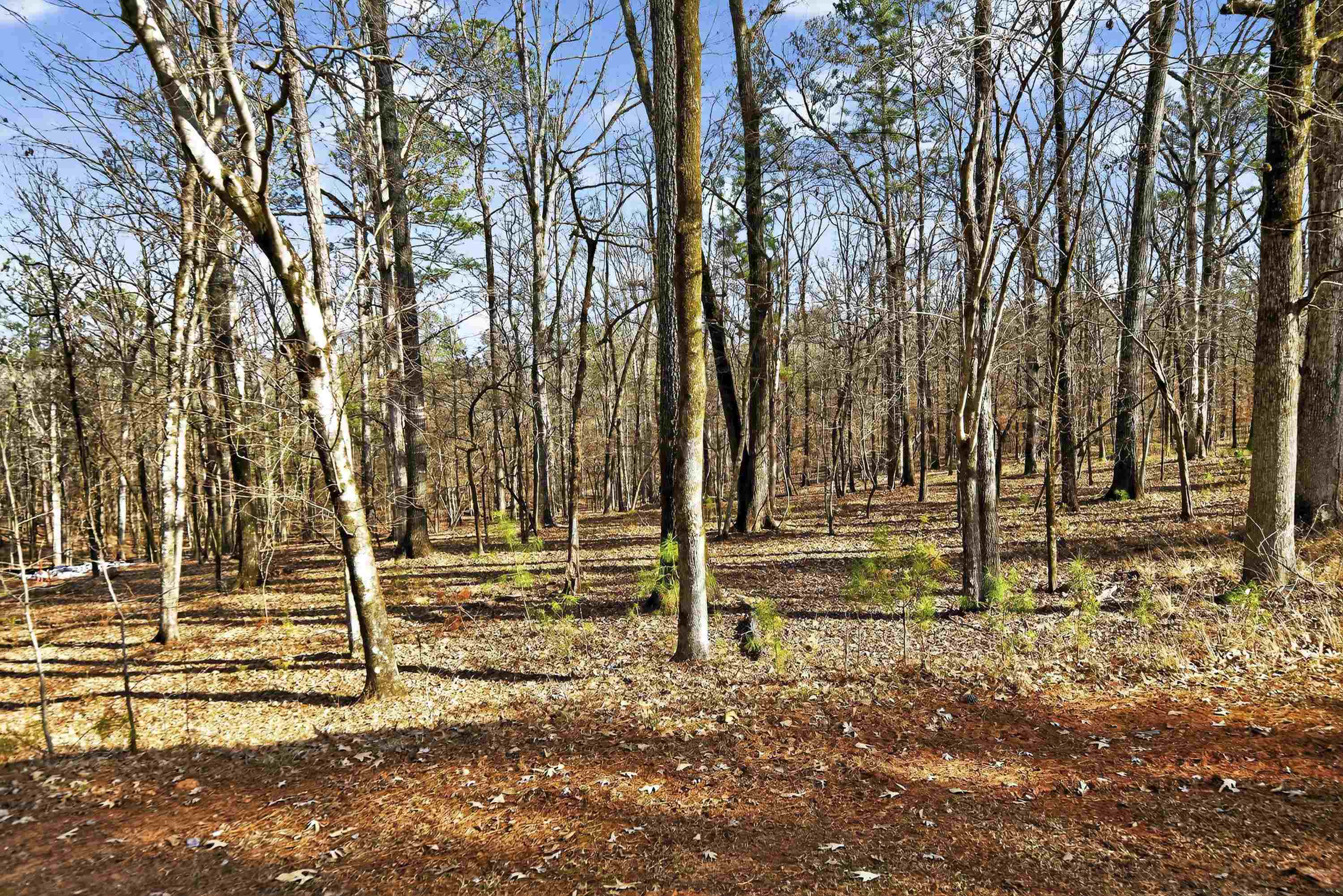 180 HUNTERS CHASE COURT