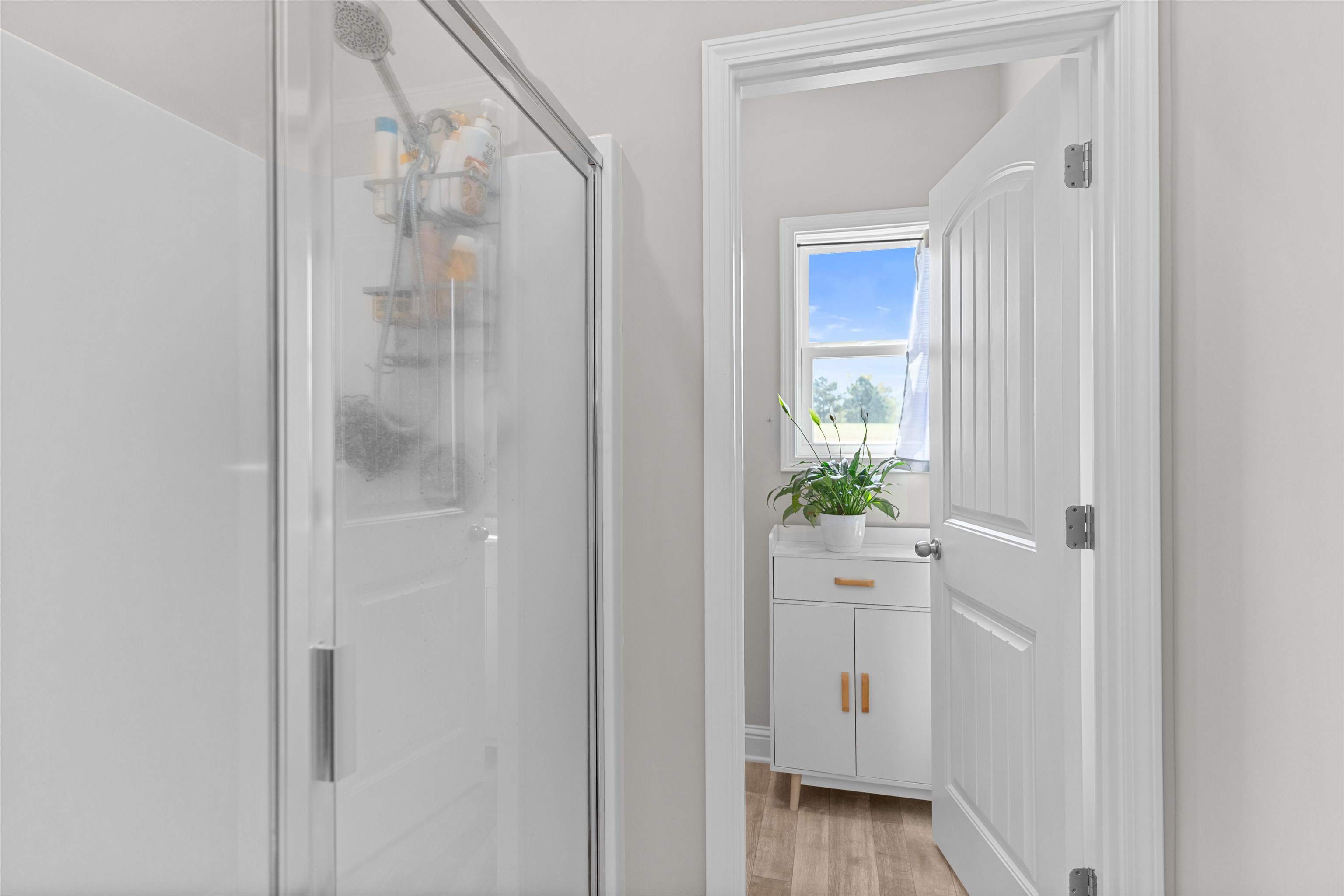 132 ALEXANDER LAKES DRIVE