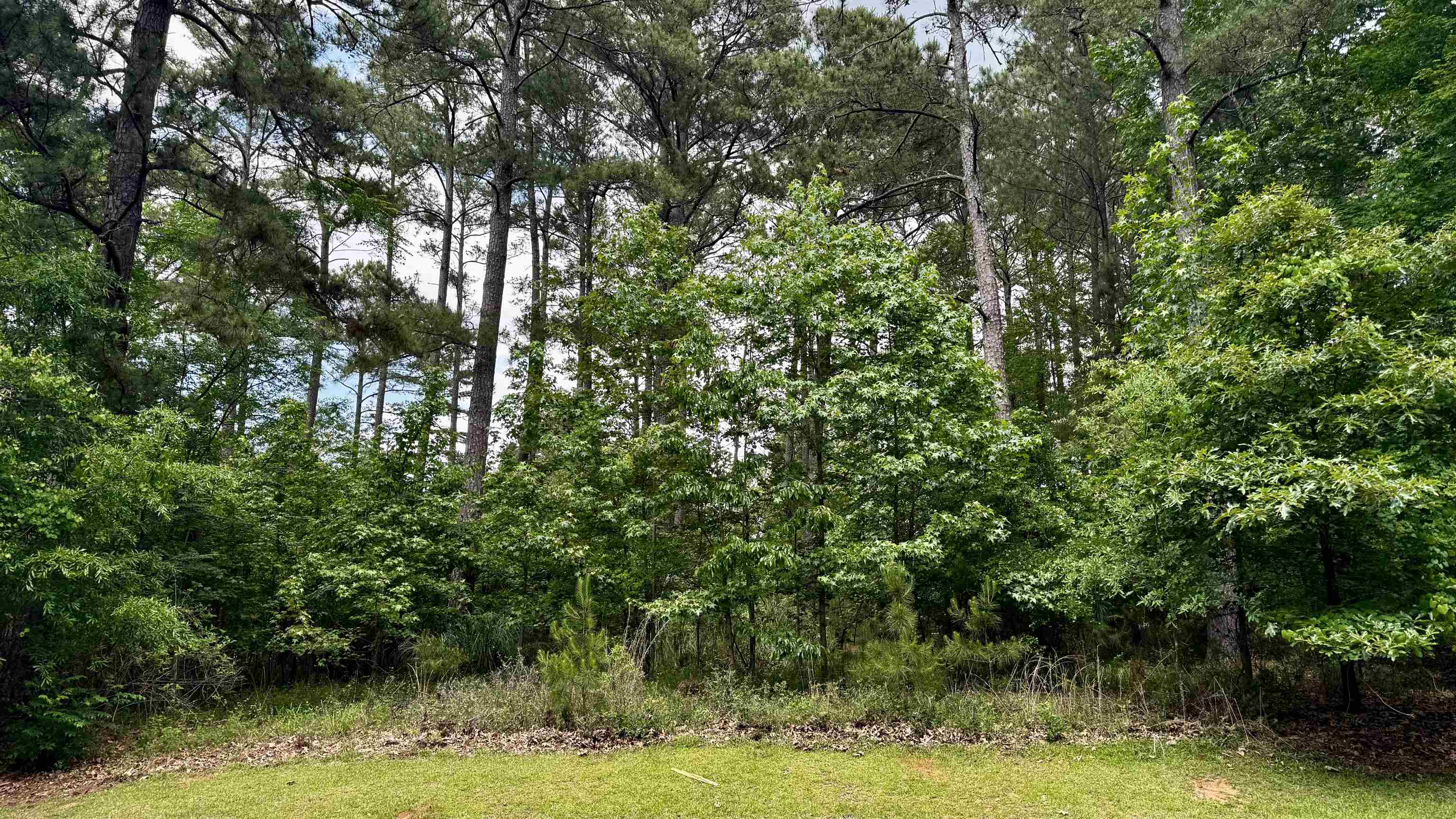 1270 FAIRWAY RIDGE ROAD # 6