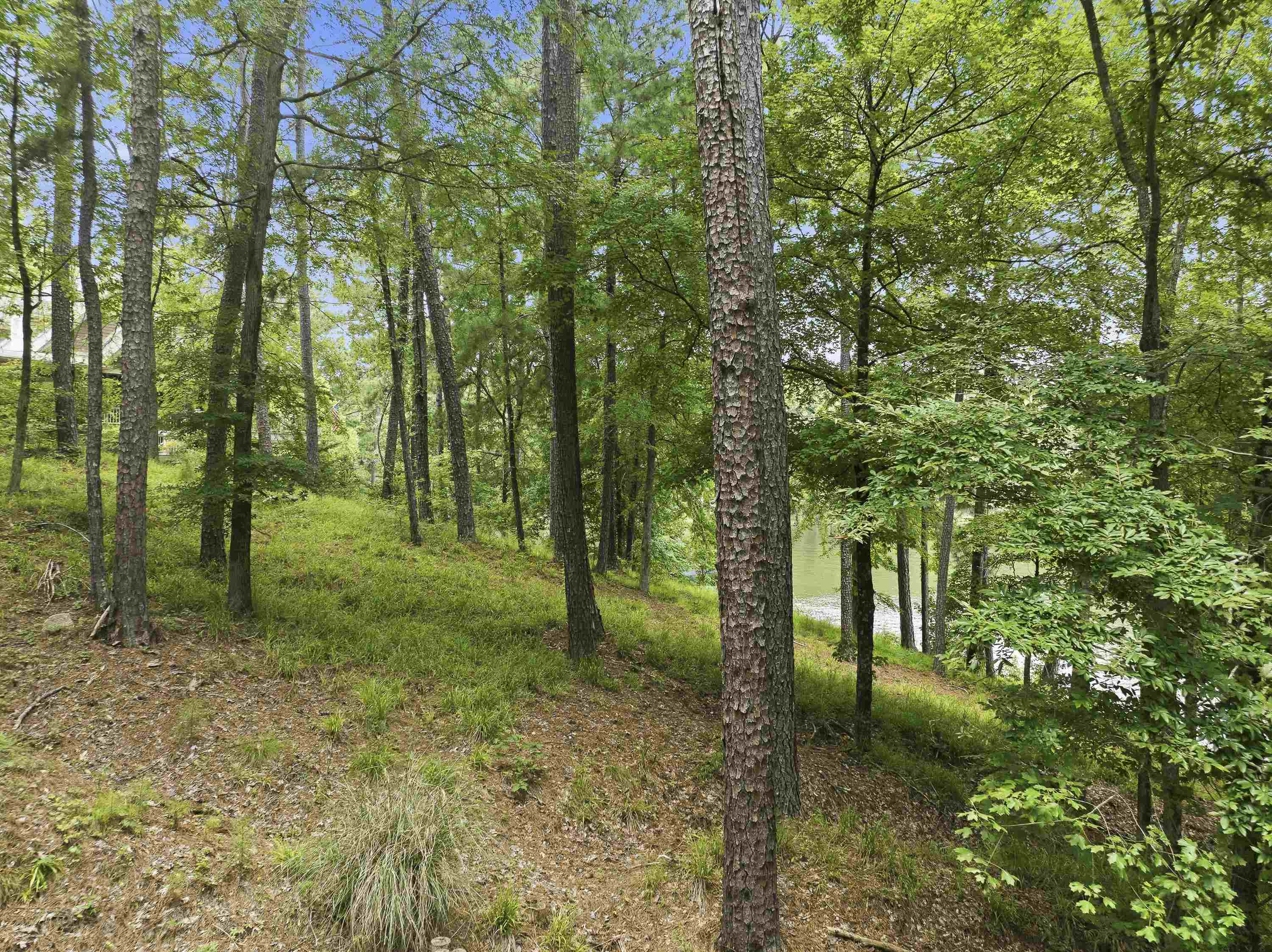 1550 DOGWOOD DRIVE # 55