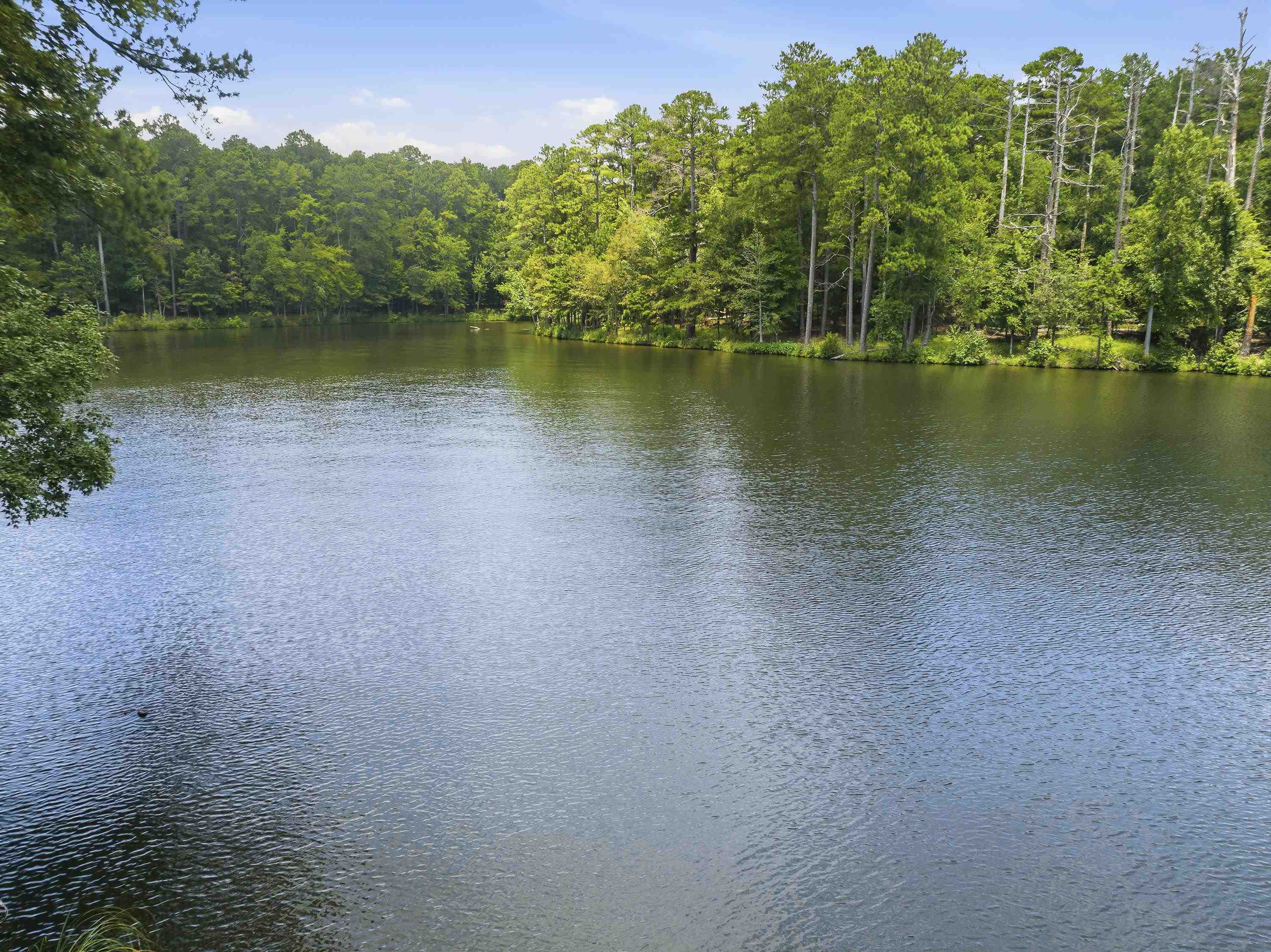 1550 DOGWOOD DRIVE # 55