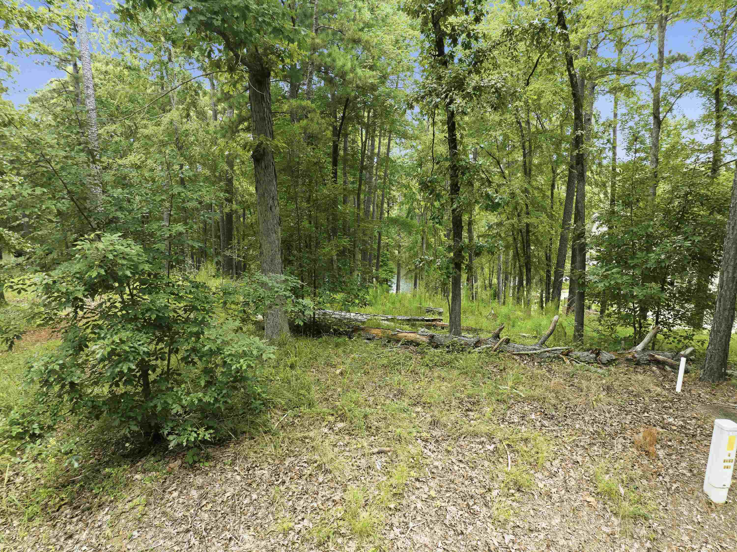 1550 DOGWOOD DRIVE # 55