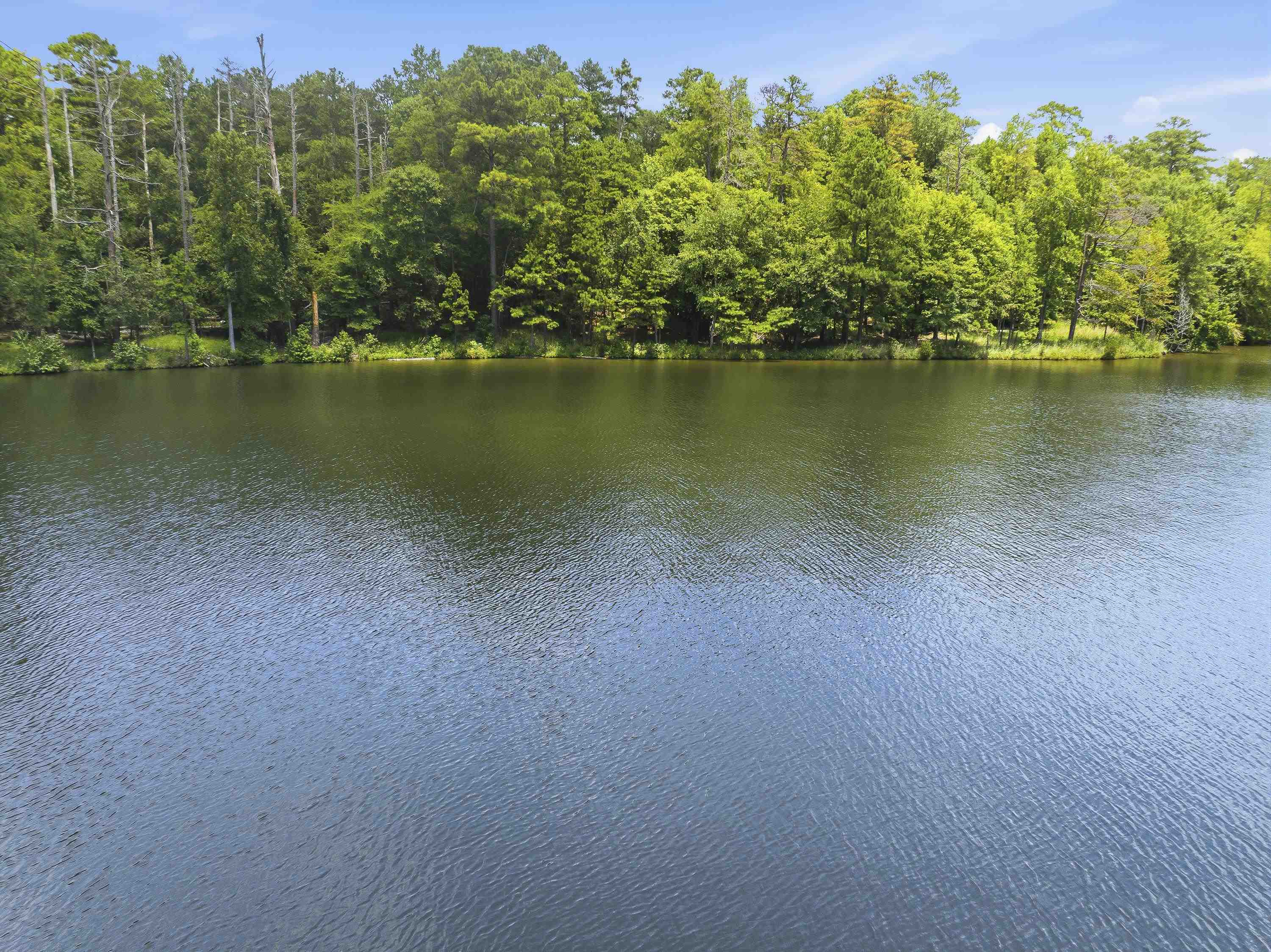 1550 DOGWOOD DRIVE # 55