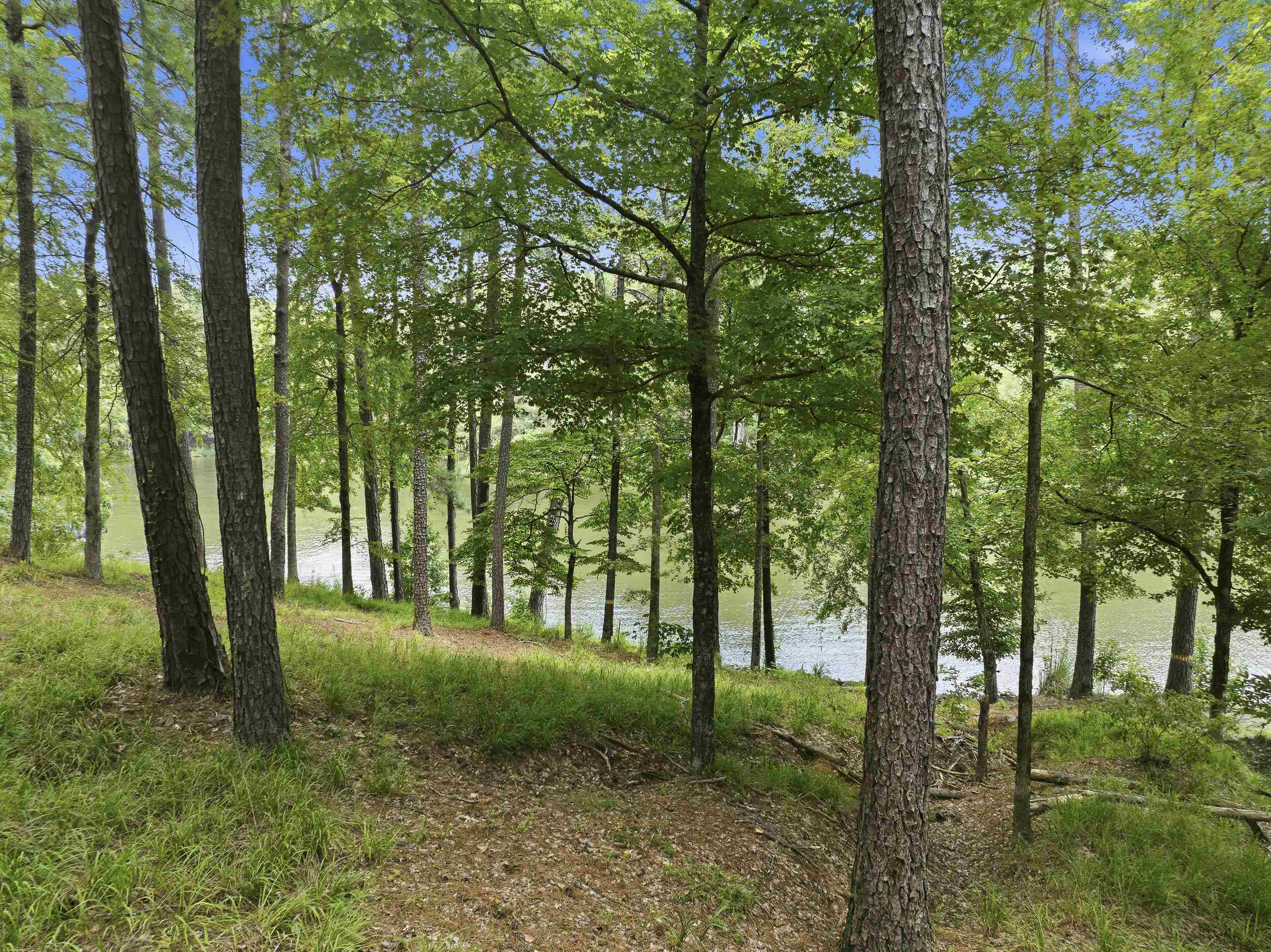 1550 DOGWOOD DRIVE # 55