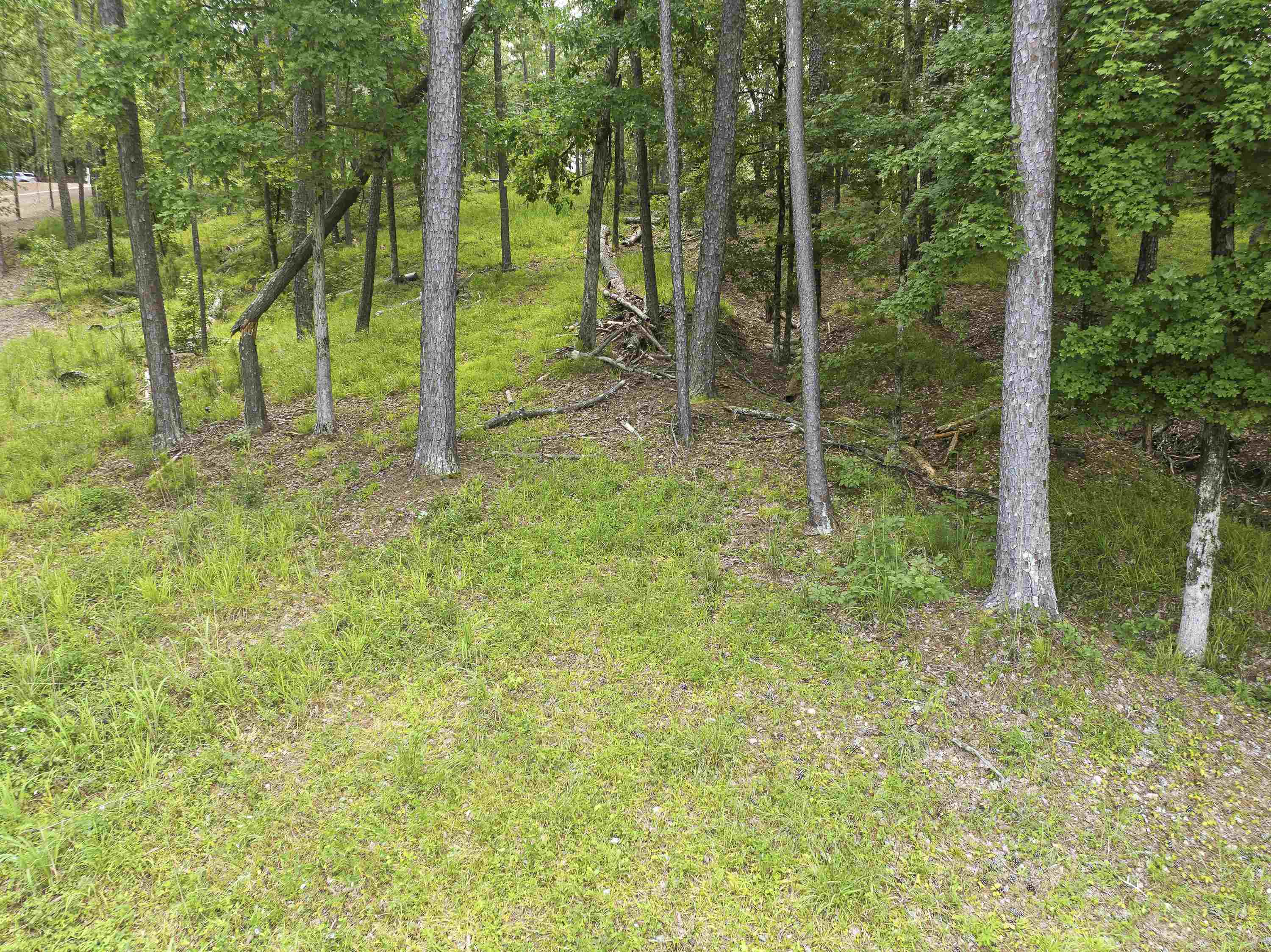 1550 DOGWOOD DRIVE # 55