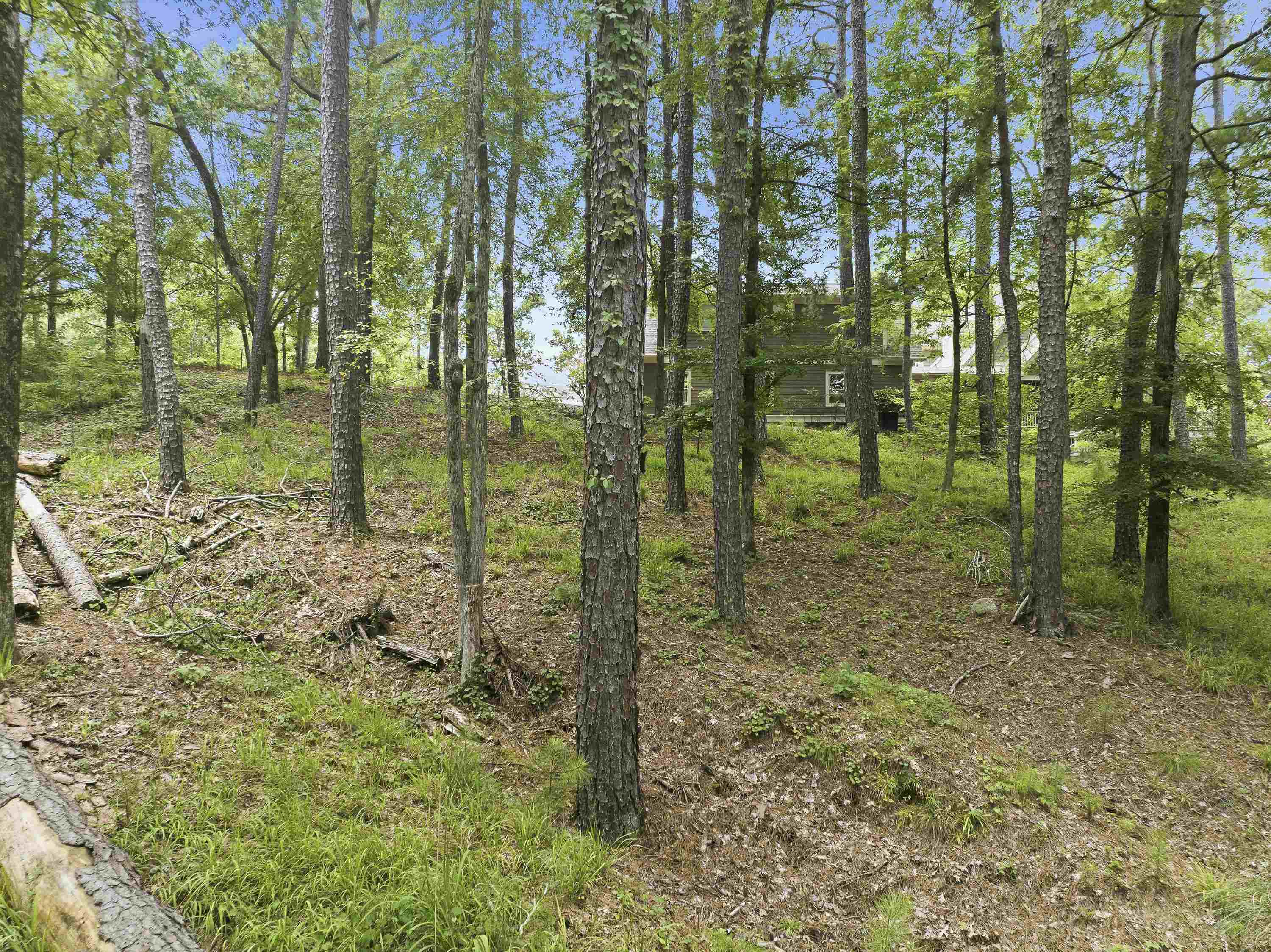 1550 DOGWOOD DRIVE # 55
