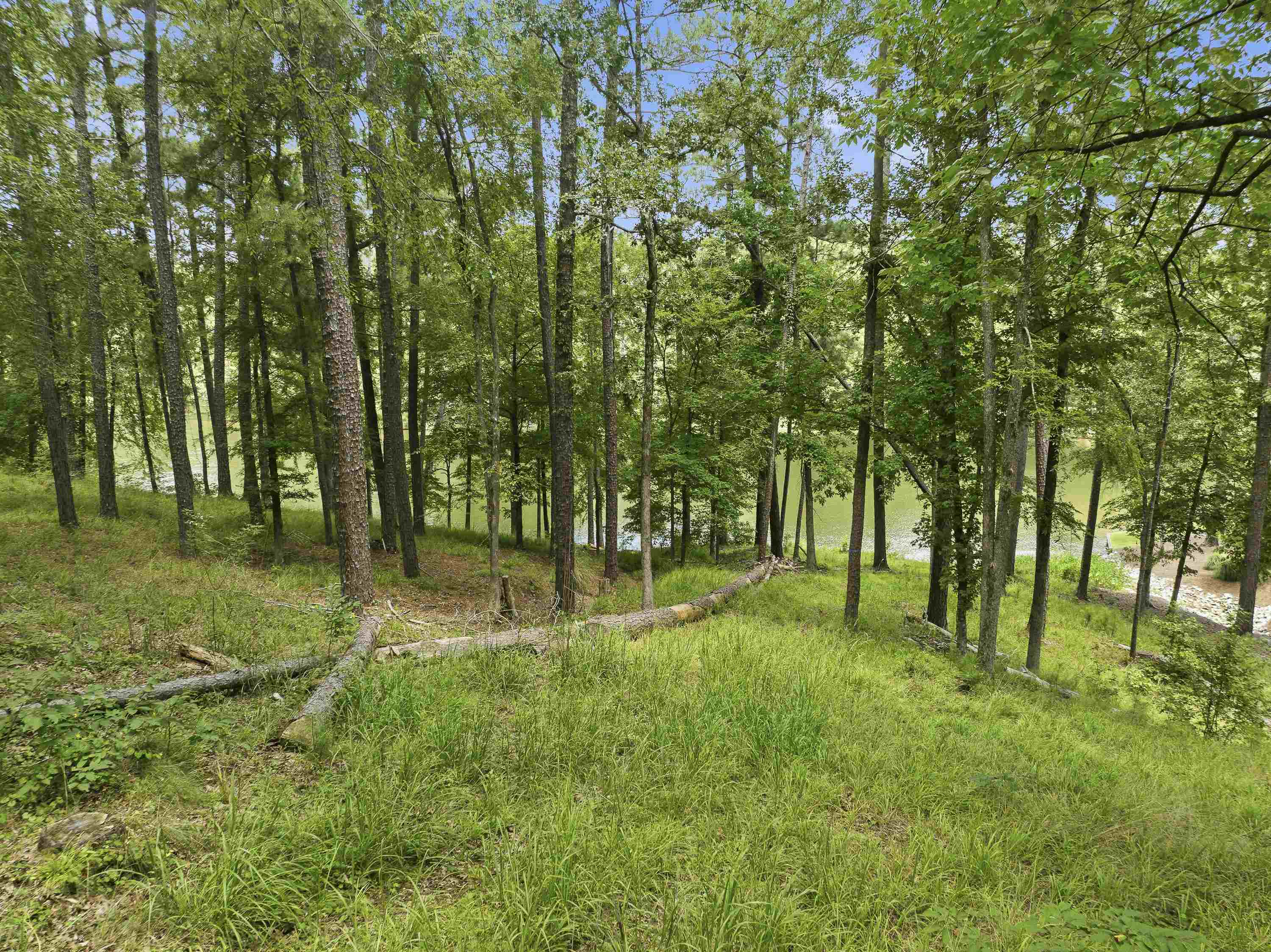 1550 DOGWOOD DRIVE # 55