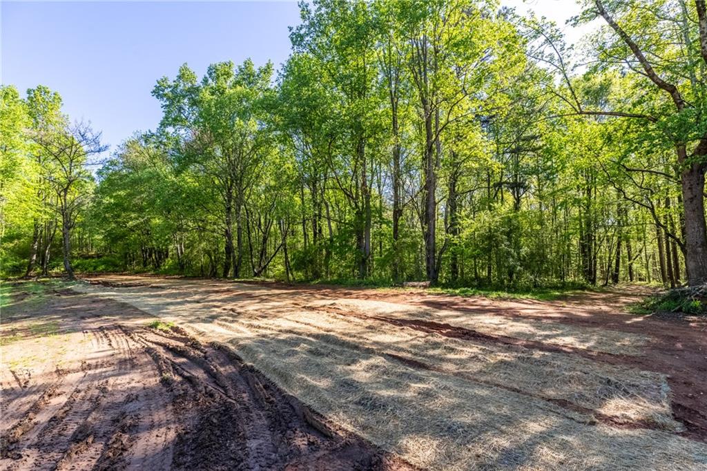 422 Old Orange Mill Road