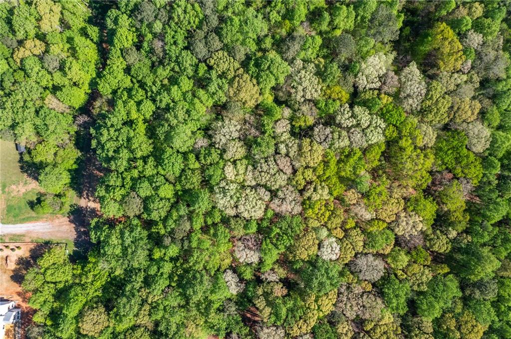 422 Old Orange Mill Road