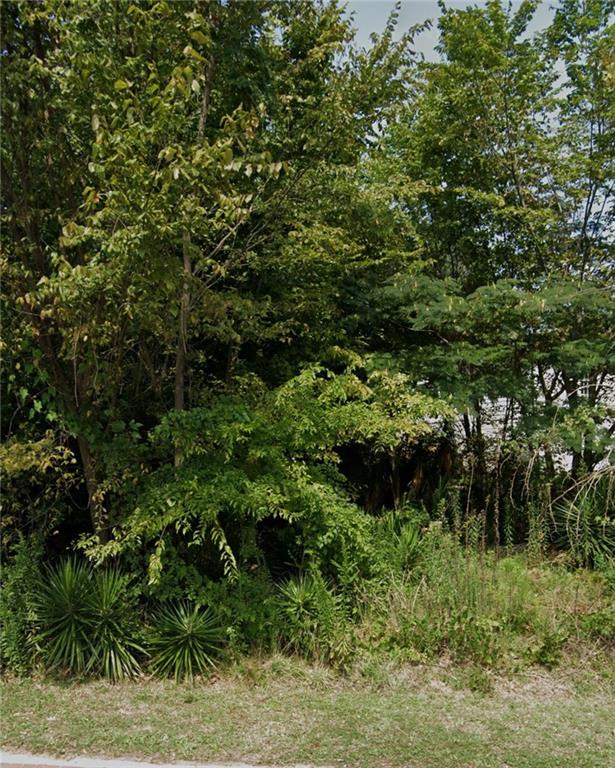 65 Fairground Street SE