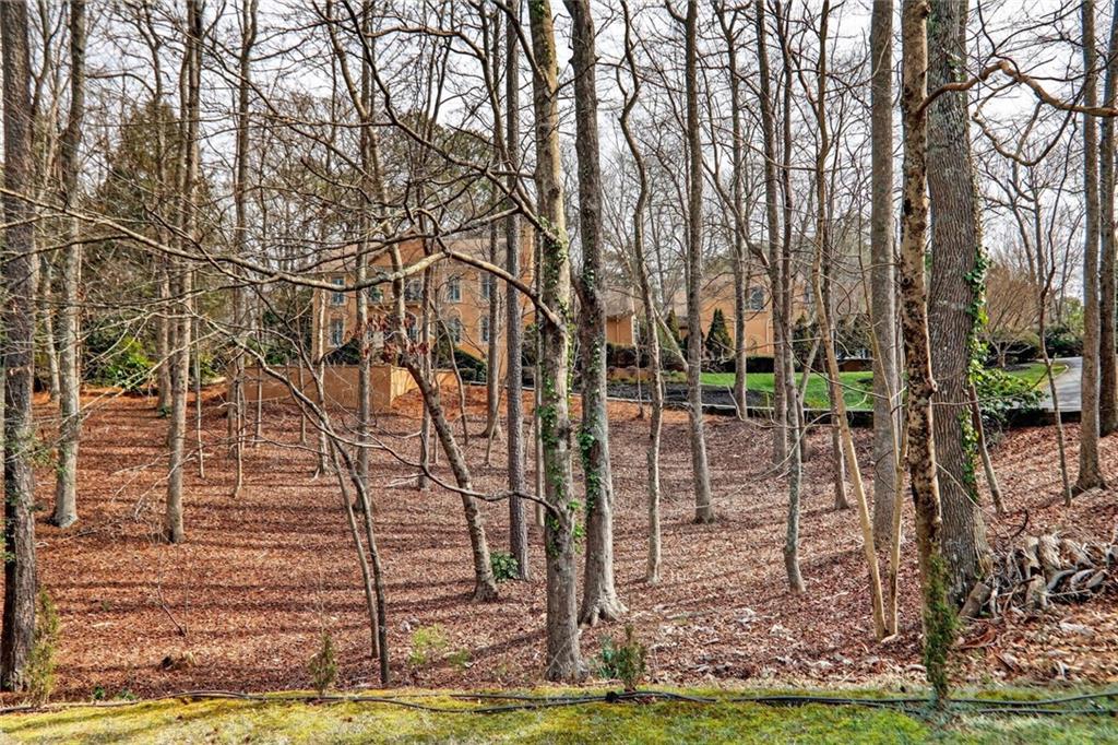 12805 Bucksport Drive