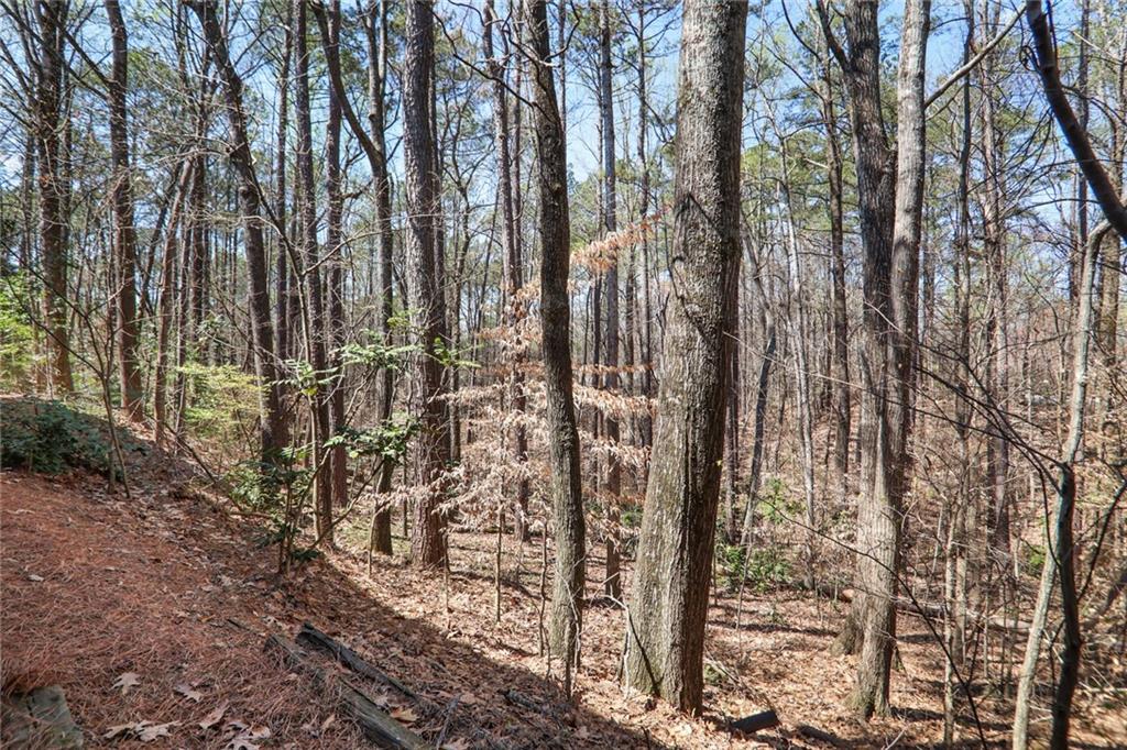 210 Woodcliff Drive