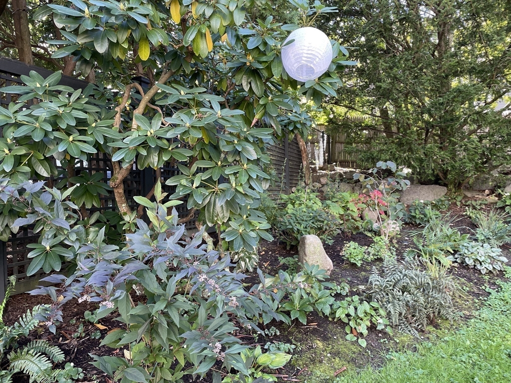 41 Neillian Crescent