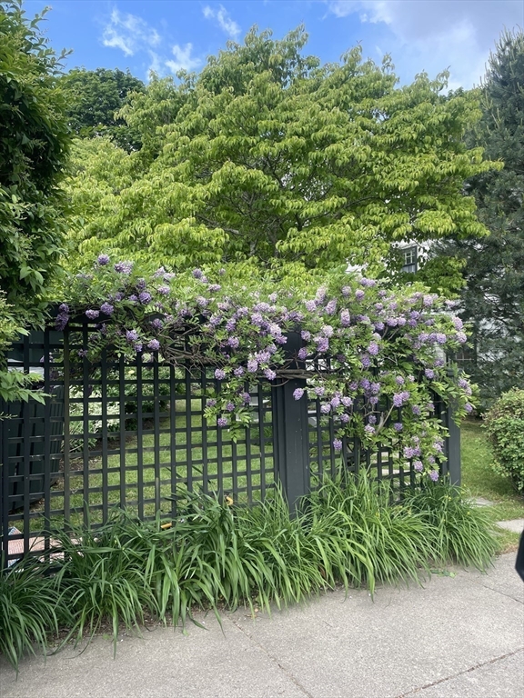 41 Neillian Crescent