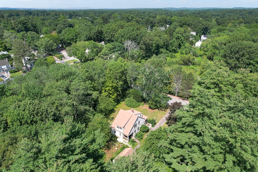 53 Elmwood Rd