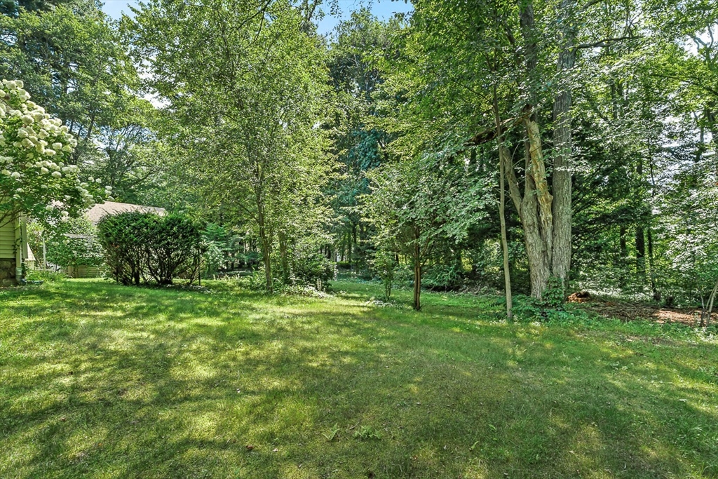 53 Elmwood Rd