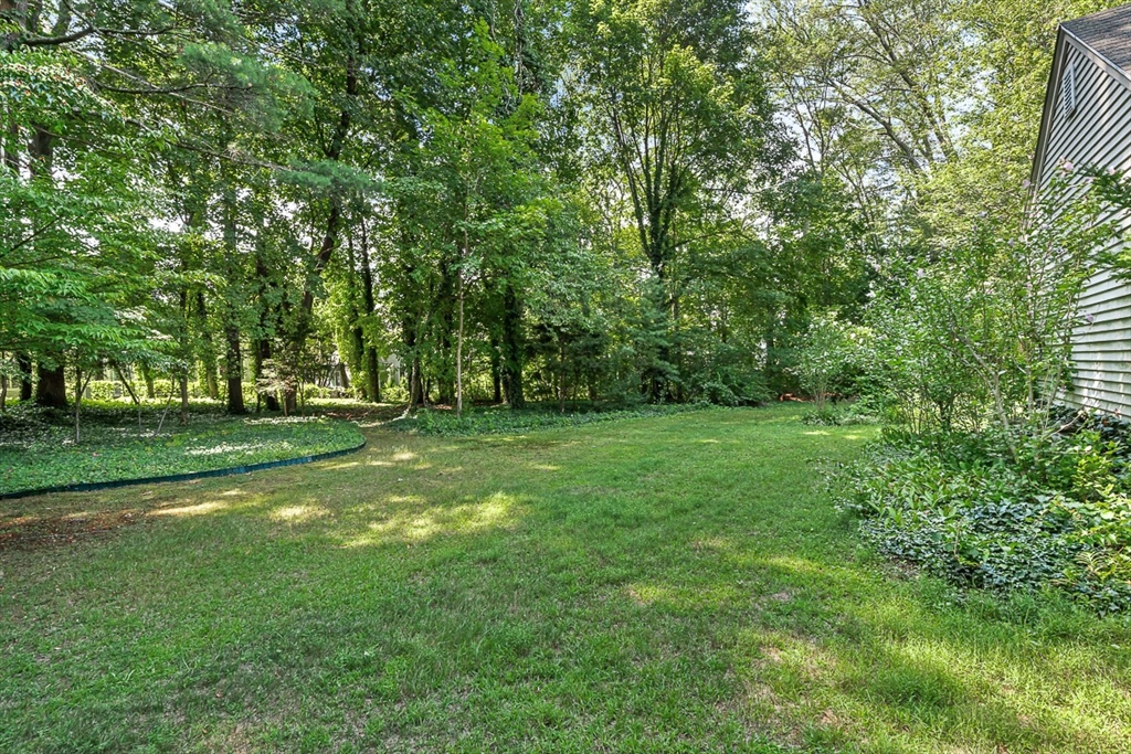 53 Elmwood Rd