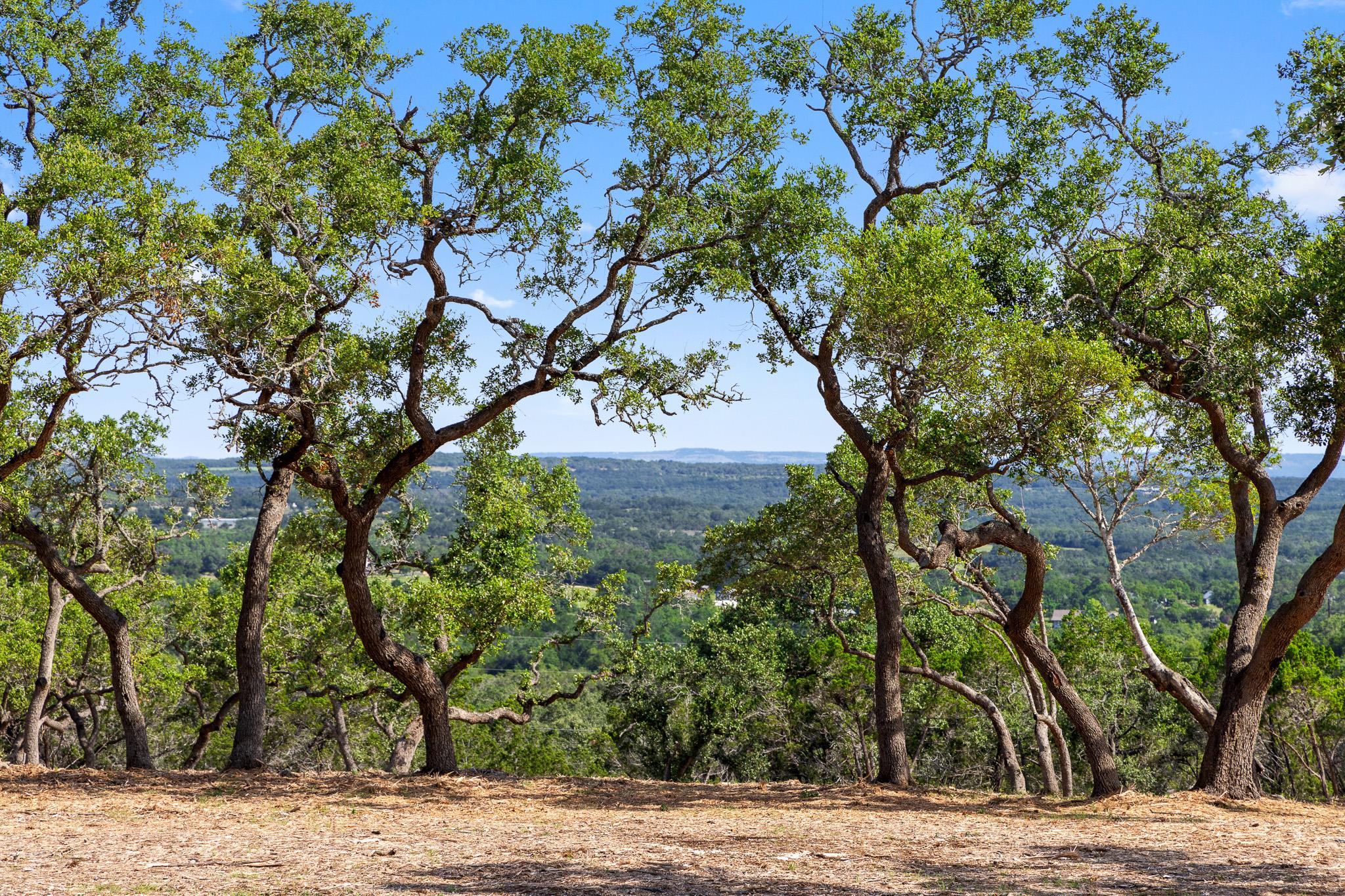 9475 FM 32, Lot 15