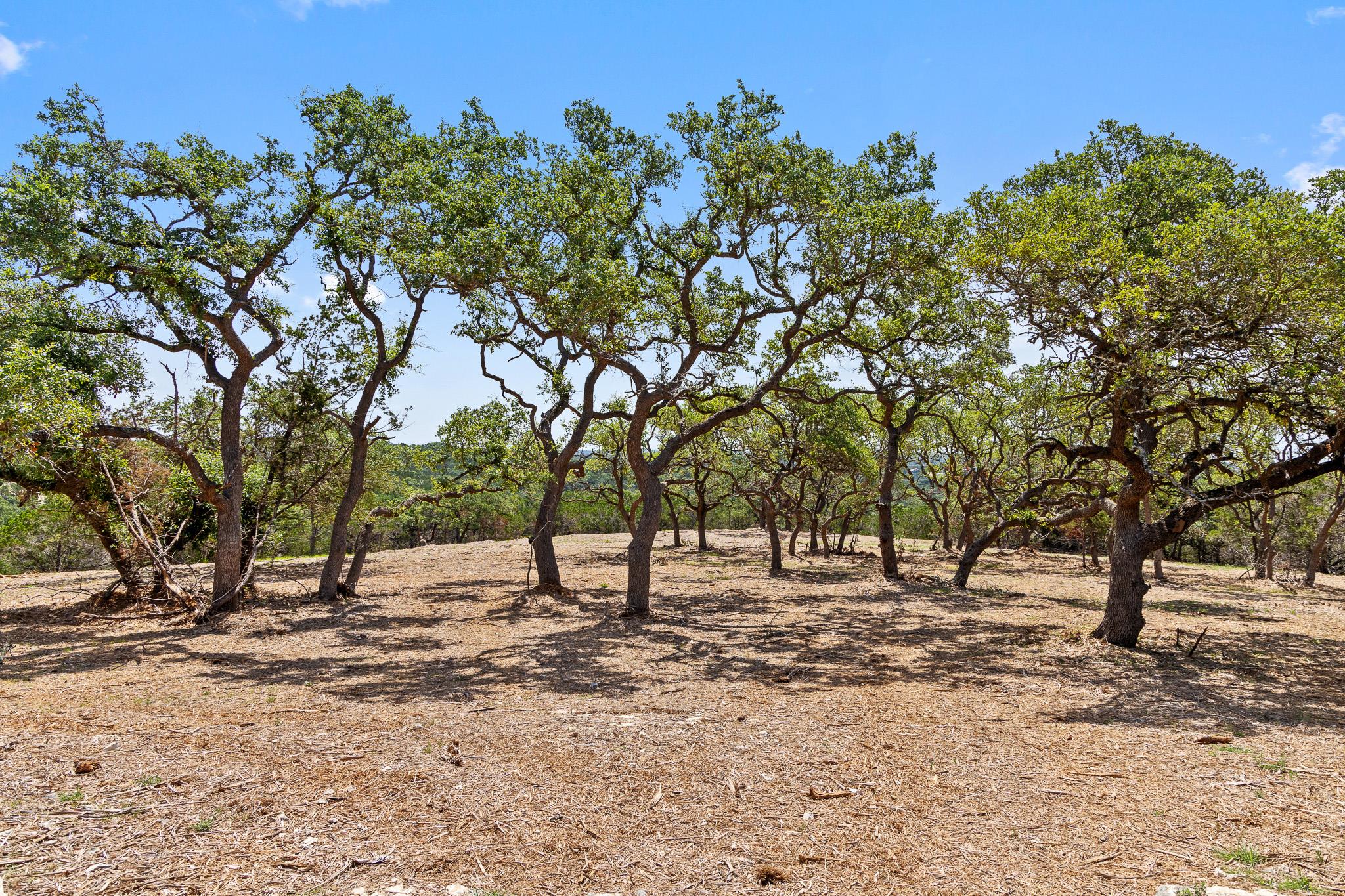 9475 FM 32, Lot 15