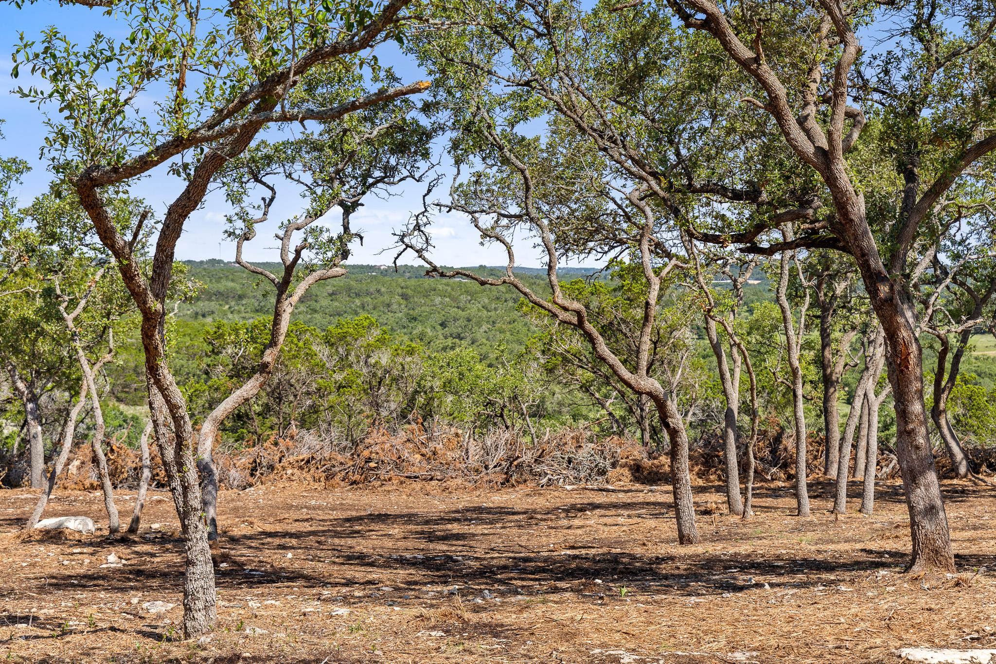 9475 FM 32, Lot 15