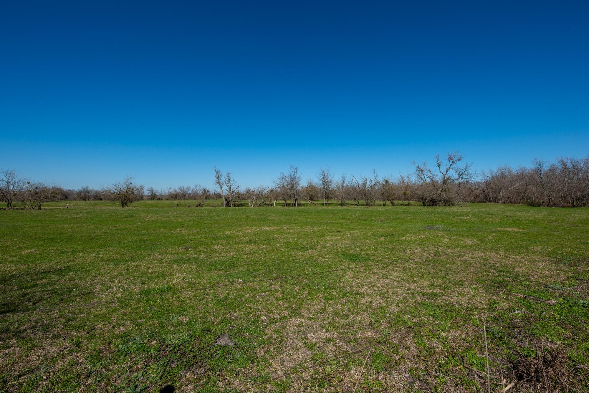 901 County Road 398