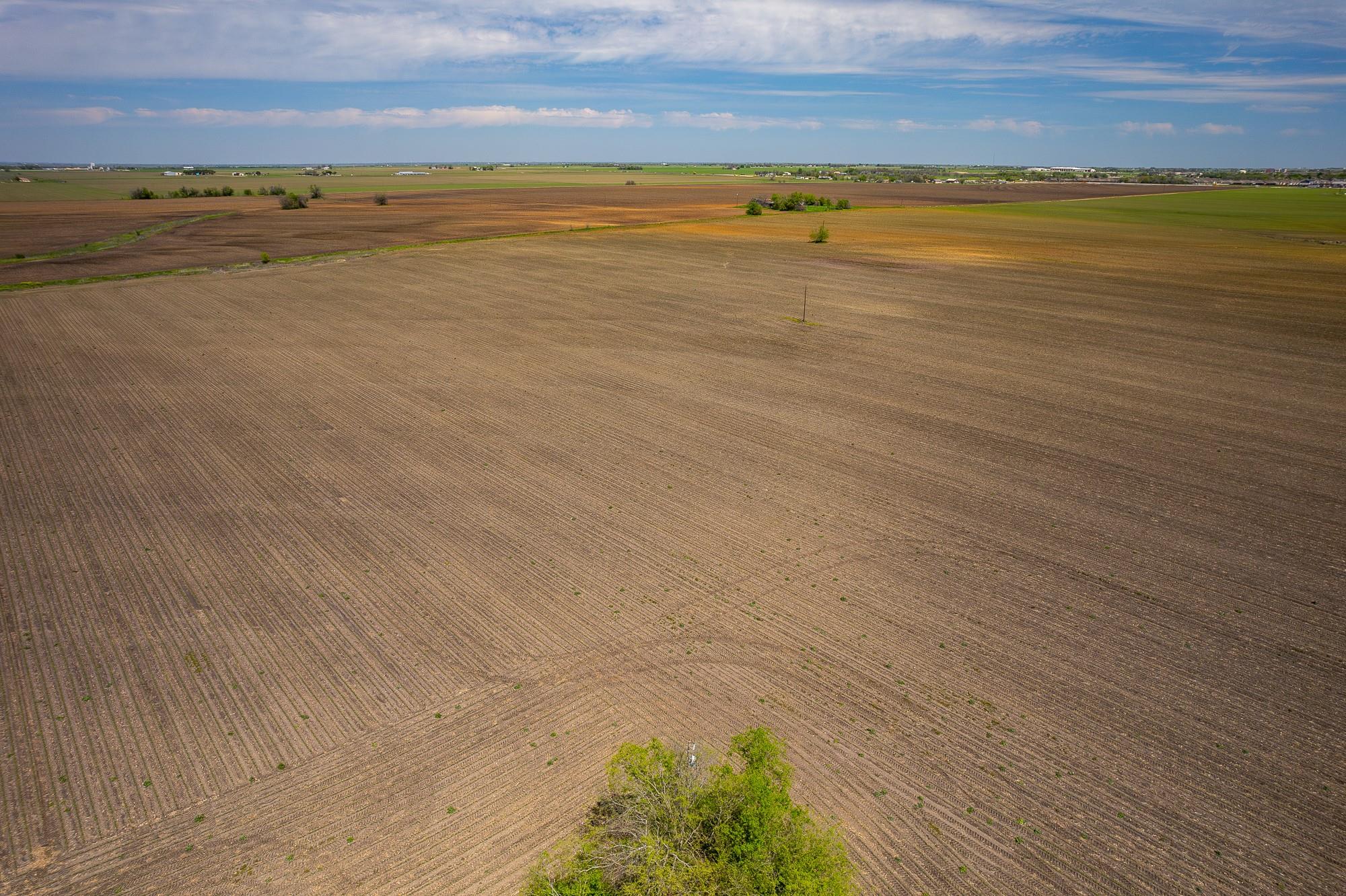 901 County Road 398