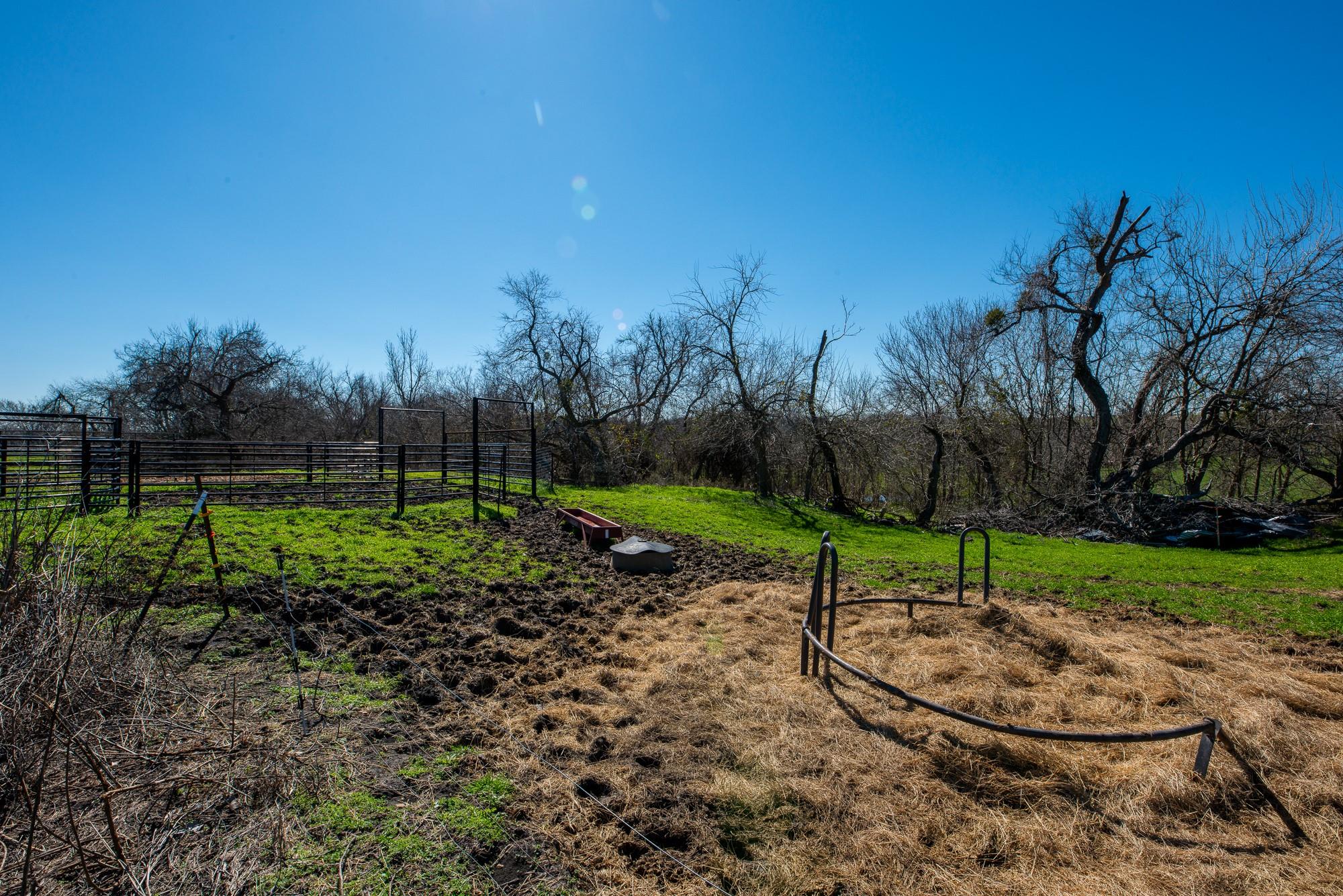 901 County Road 398