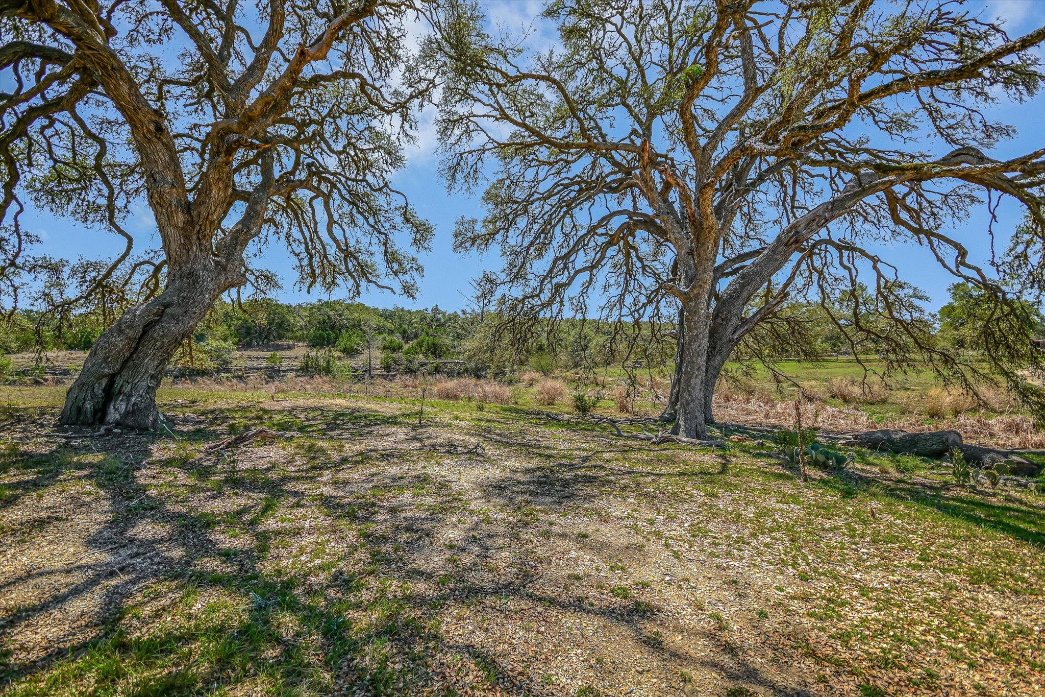 5421 PURGATORY RD