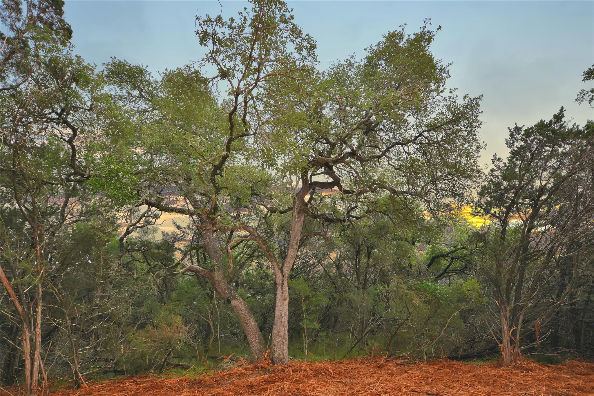 LOT 17 SIERRA LOMA DR