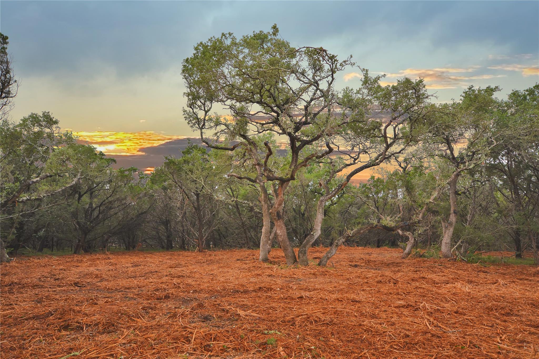 LOT 17 SIERRA LOMA DR