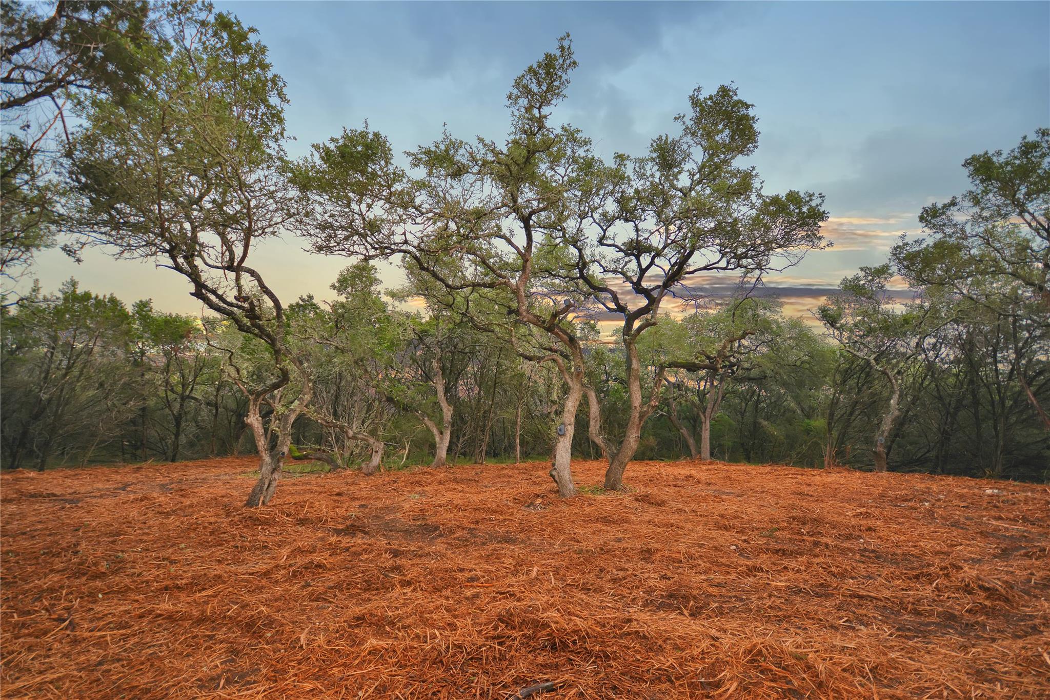 LOT 17 SIERRA LOMA DR