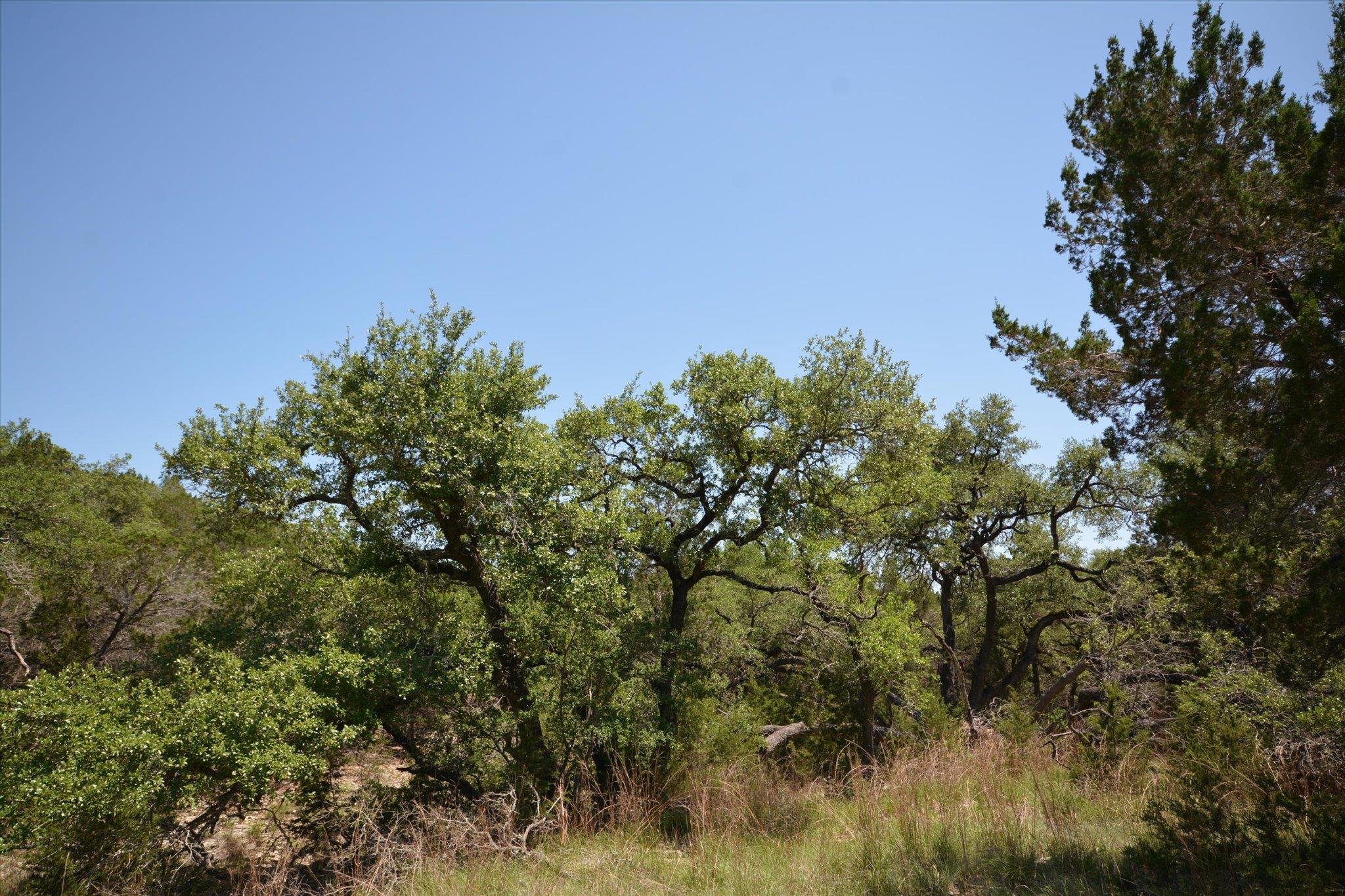 TBD LOT 17-B DEER RUN