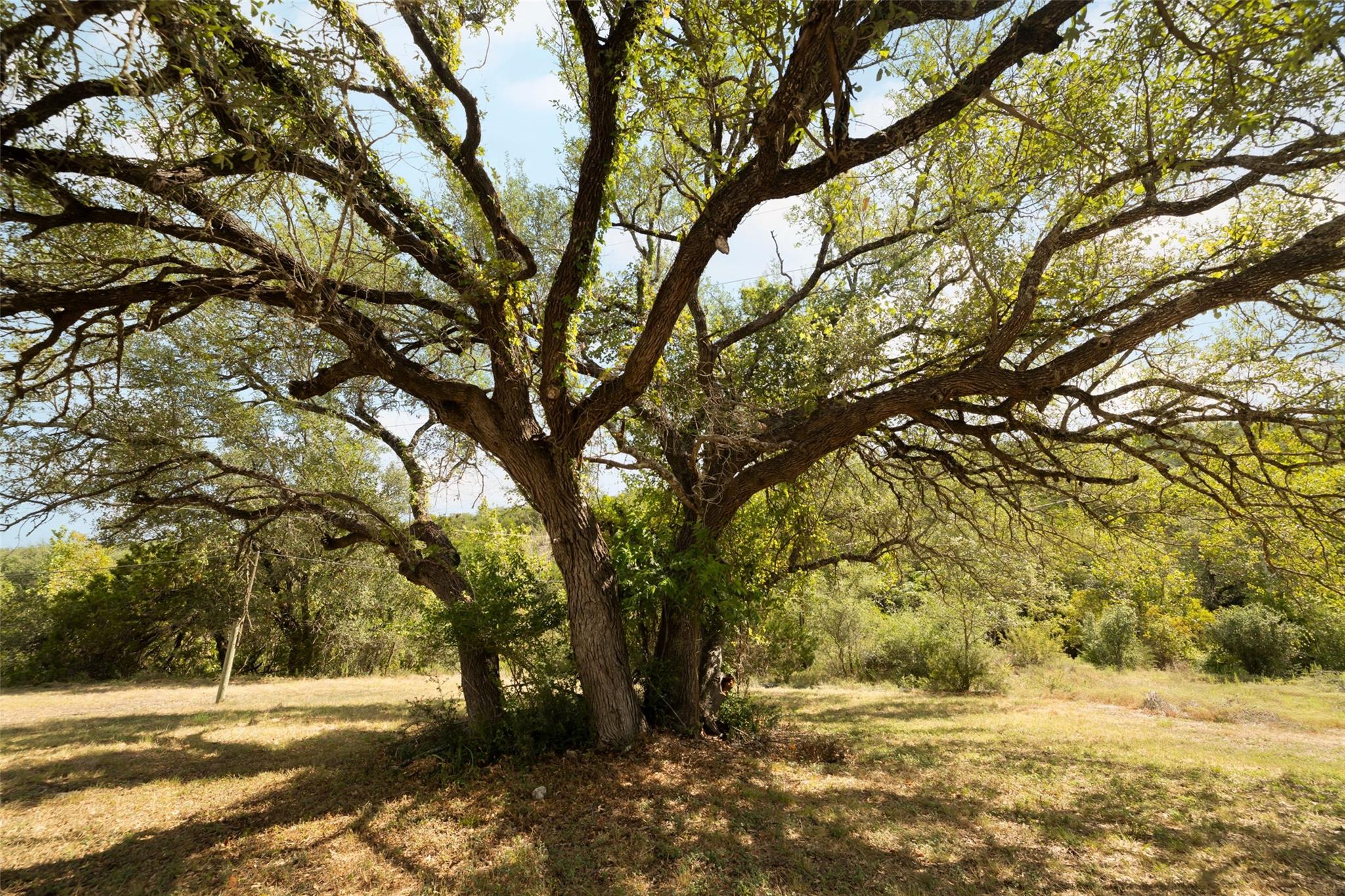 10703 Ranch Road 12