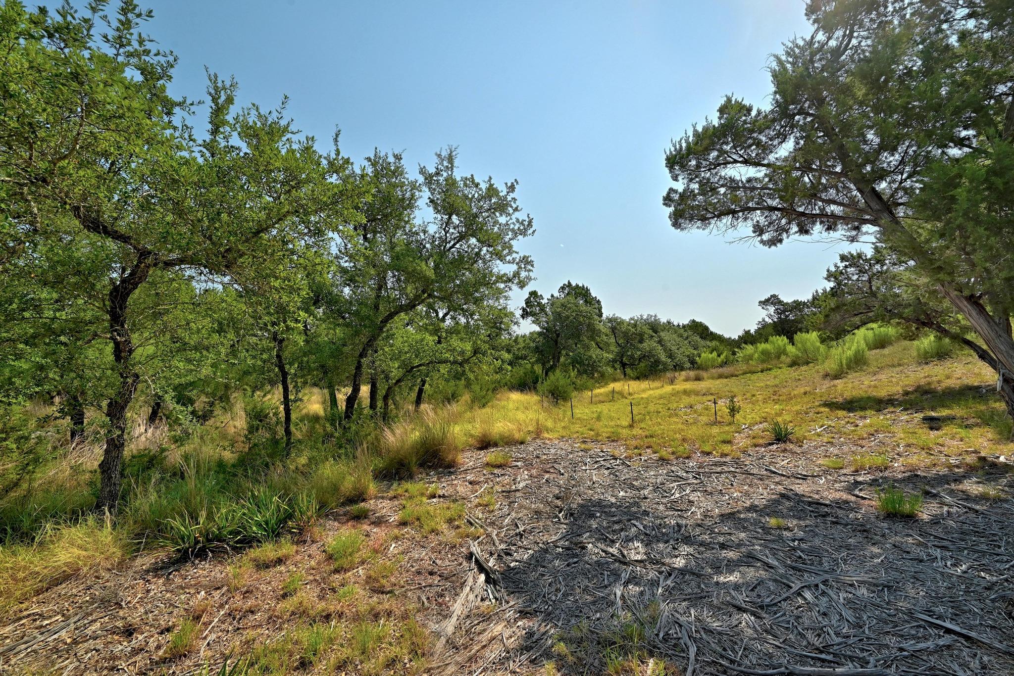 235 Campolina LN