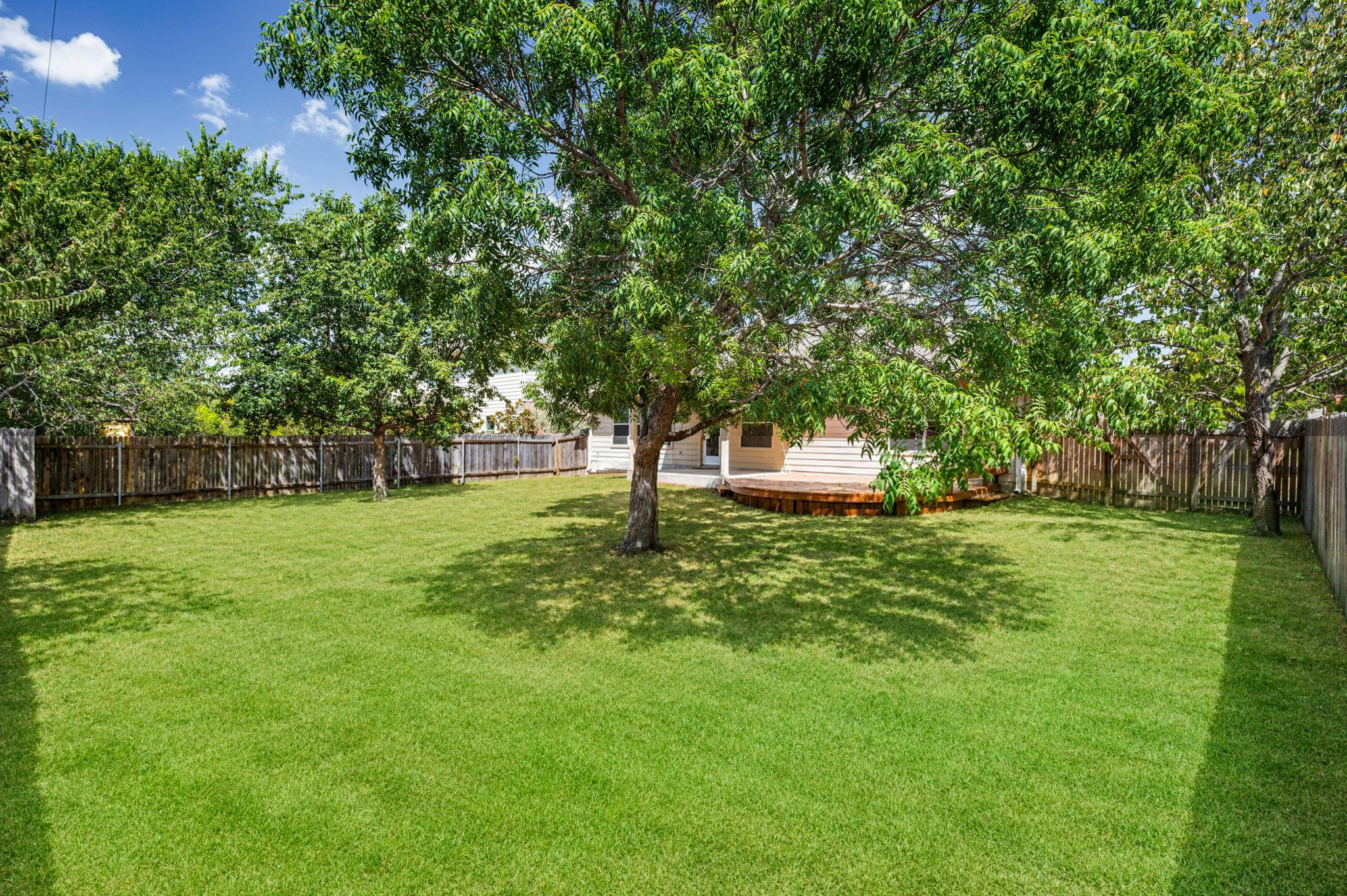717 Windsor Castle DR