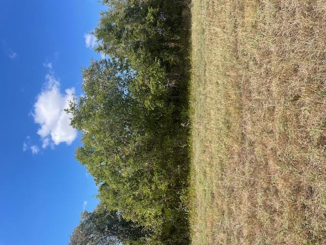 703 4th ST, Bruceville-Eddy
