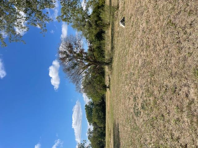 703 4th ST, Bruceville-Eddy