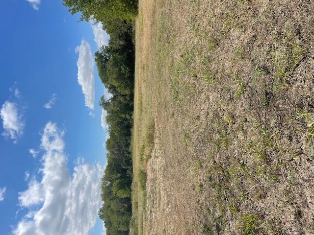703 4th ST, Bruceville-Eddy