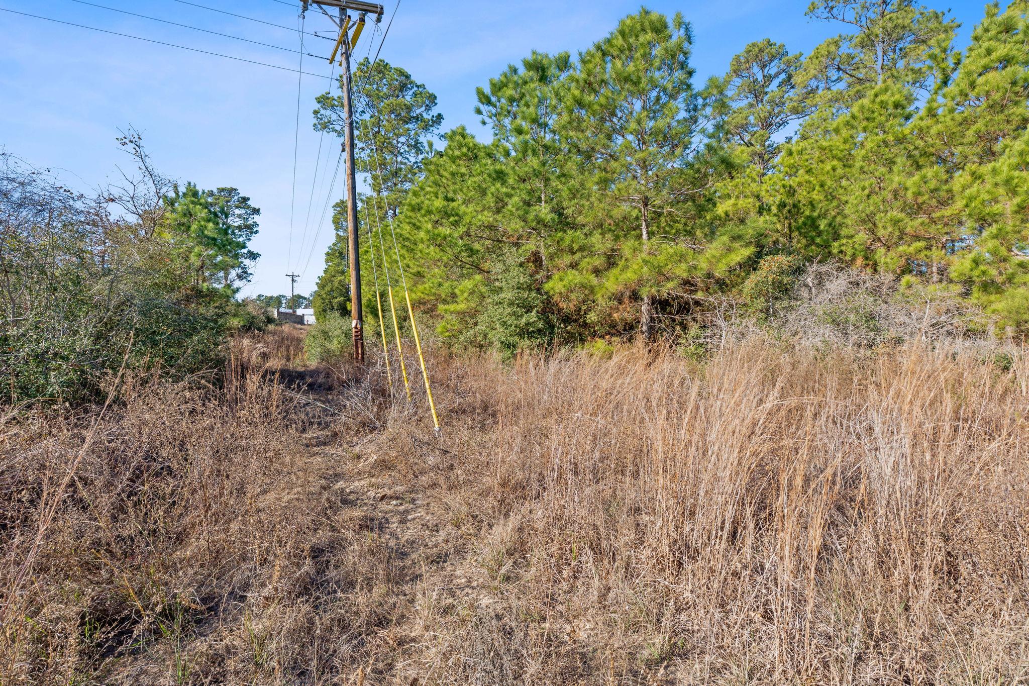 Lot 65 State Highway 21